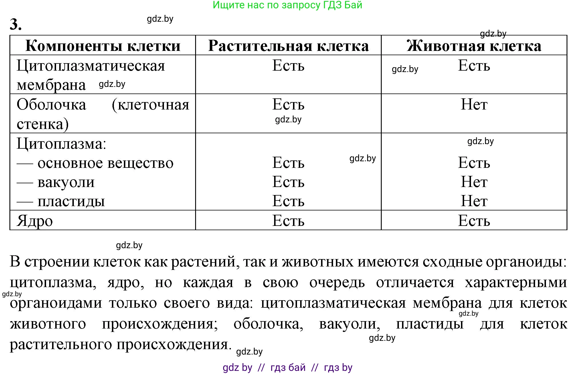 Биология, 6 класс Тетрадь для лабораторных и практических работ, авторы: Лисов Николай Дмитриевич, Борщевская Елена Валерьевна, издательство Аверсэв, Минск, 2023, салатового цвета, страница 25, номер 3, Решение