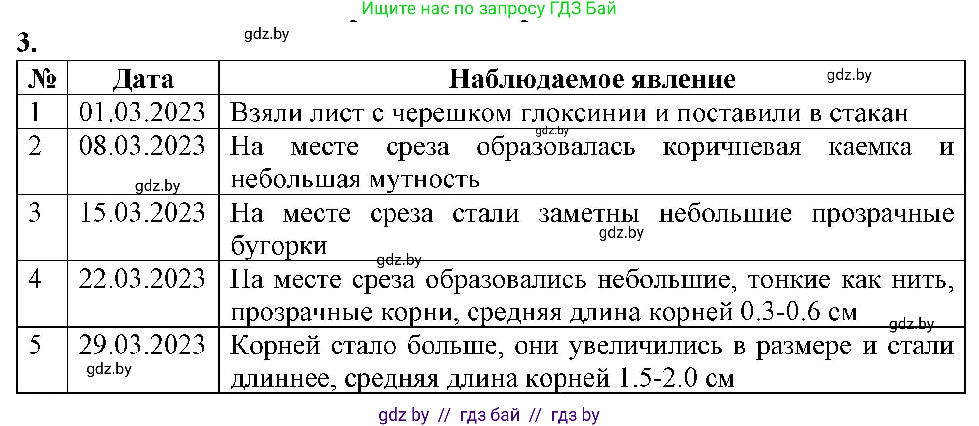 Биология, 6 класс Тетрадь для лабораторных и практических работ, авторы: Лисов Николай Дмитриевич, Борщевская Елена Валерьевна, издательство Аверсэв, Минск, 2023, салатового цвета, страница 32, номер 3, Решение