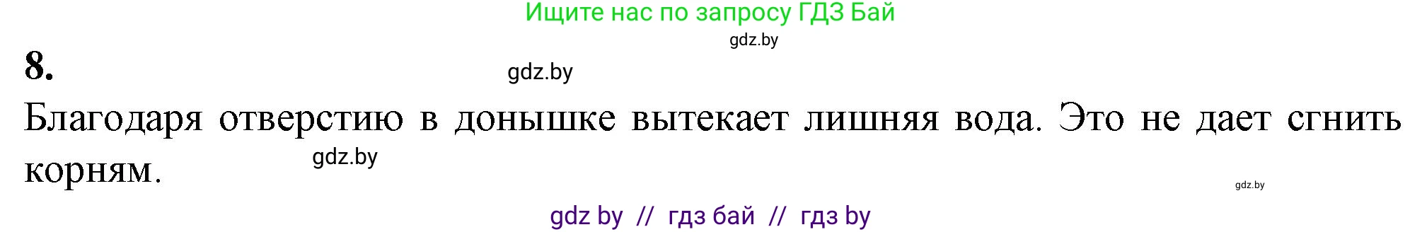 Биология, 6 класс Тетрадь для лабораторных и практических работ, авторы: Лисов Николай Дмитриевич, Борщевская Елена Валерьевна, издательство Аверсэв, Минск, 2023, салатового цвета, страница 34, номер 8, Решение