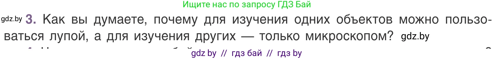 Биология, 6 класс Учебник, автор: Лисов Николай Дмитриевич, издательство Народная асвета, Минск, 2021, зелёного цвета, страница 20, номер 3, Условие