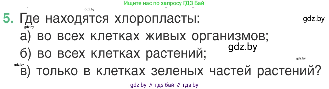 Биология, 6 класс Учебник, автор: Лисов Николай Дмитриевич, издательство Народная асвета, Минск, 2021, зелёного цвета, страница 29, номер 5, Условие