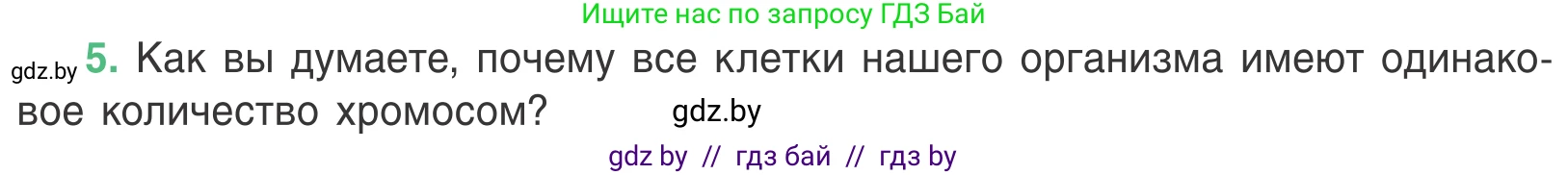 Биология, 6 класс Учебник, автор: Лисов Николай Дмитриевич, издательство Народная асвета, Минск, 2021, зелёного цвета, страница 34, номер 5, Условие
