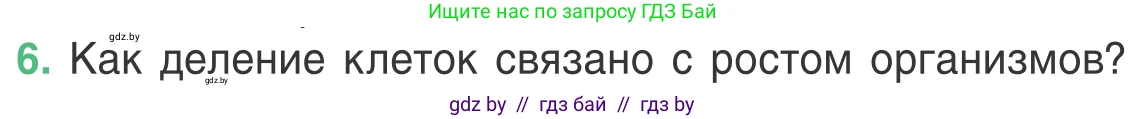 Биология, 6 класс Учебник, автор: Лисов Николай Дмитриевич, издательство Народная асвета, Минск, 2021, зелёного цвета, страница 34, номер 6, Условие