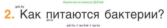 Биология, 6 класс Учебник, автор: Лисов Николай Дмитриевич, издательство Народная асвета, Минск, 2021, зелёного цвета, страница 43, номер 2, Условие