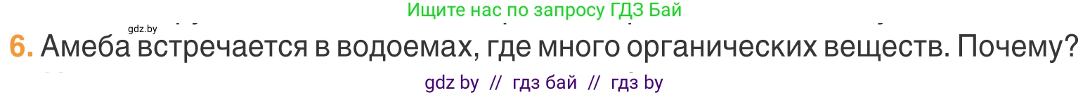 Биология, 6 класс Учебник, автор: Лисов Николай Дмитриевич, издательство Народная асвета, Минск, 2021, зелёного цвета, страница 48, номер 6, Условие