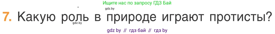 Биология, 6 класс Учебник, автор: Лисов Николай Дмитриевич, издательство Народная асвета, Минск, 2021, зелёного цвета, страница 48, номер 7, Условие