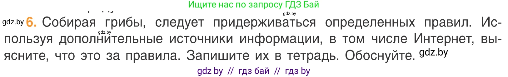 Биология, 6 класс Учебник, автор: Лисов Николай Дмитриевич, издательство Народная асвета, Минск, 2021, зелёного цвета, страница 54, номер 6, Условие