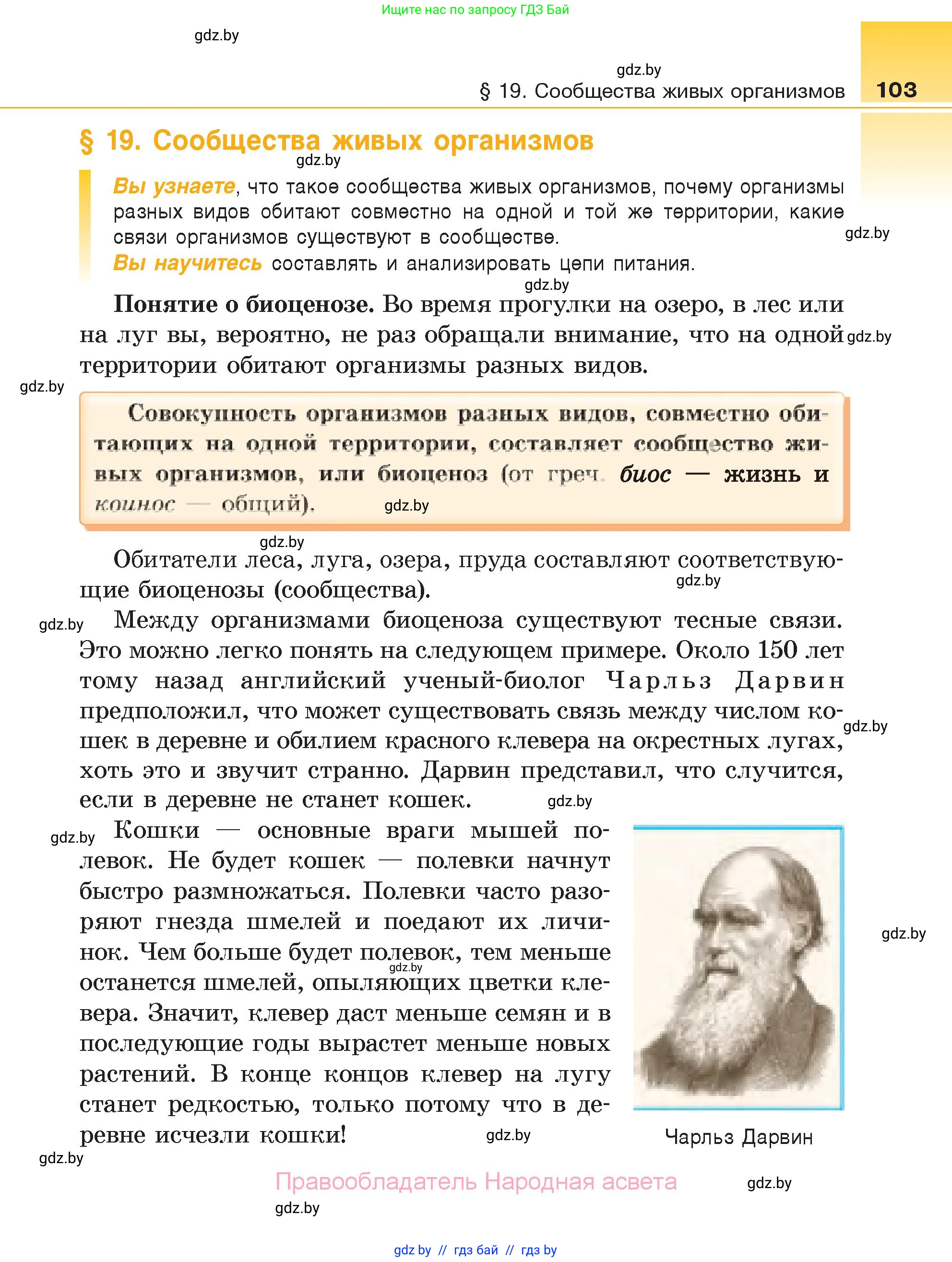 Биология, 6 класс Учебник, автор: Лисов Николай Дмитриевич, издательство Народная асвета, Минск, 2021, зелёного цвета, страница 103