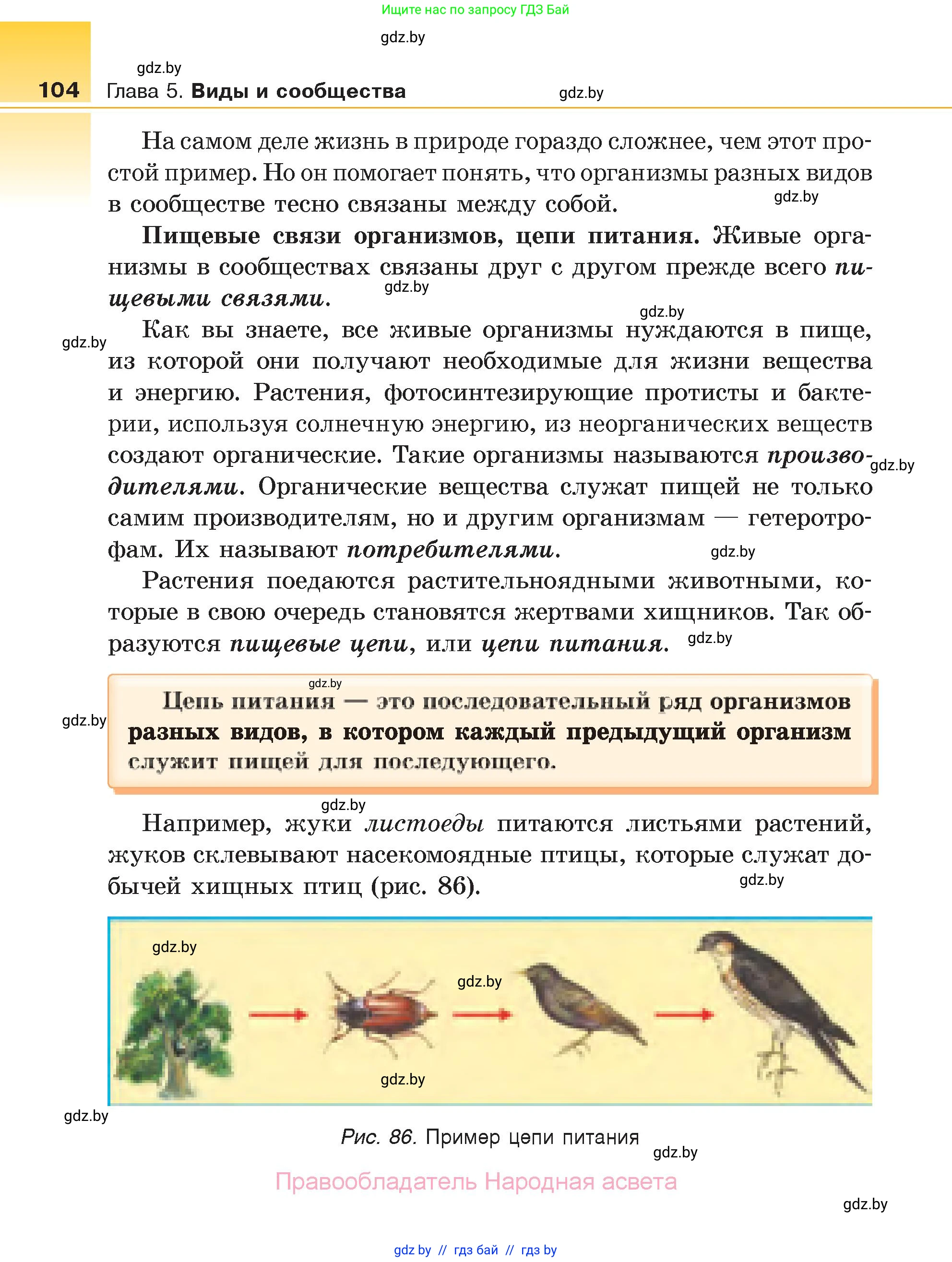 Биология, 6 класс Учебник, автор: Лисов Николай Дмитриевич, издательство Народная асвета, Минск, 2021, зелёного цвета, страница 104