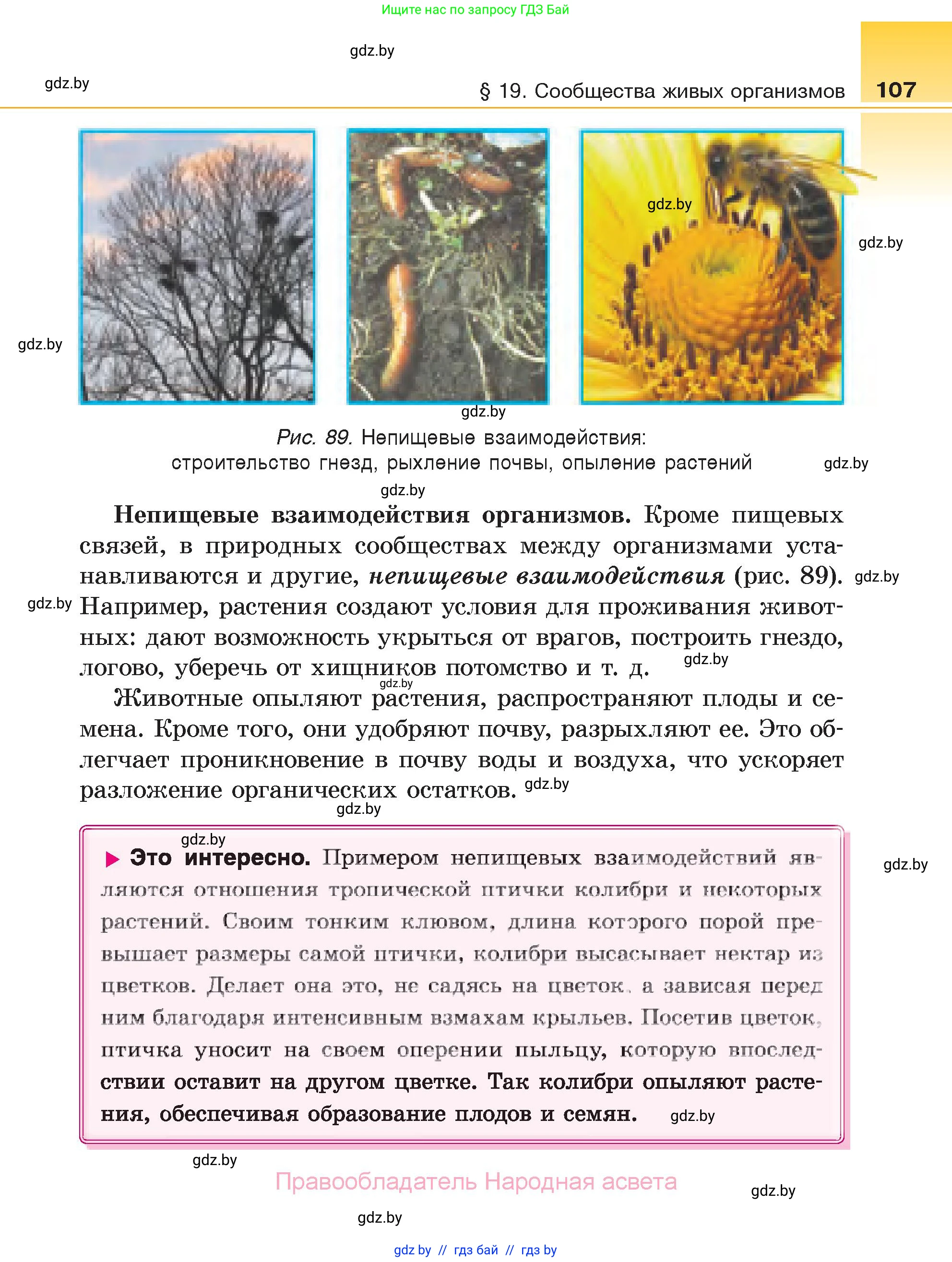Биология, 6 класс Учебник, автор: Лисов Николай Дмитриевич, издательство Народная асвета, Минск, 2021, зелёного цвета, страница 107