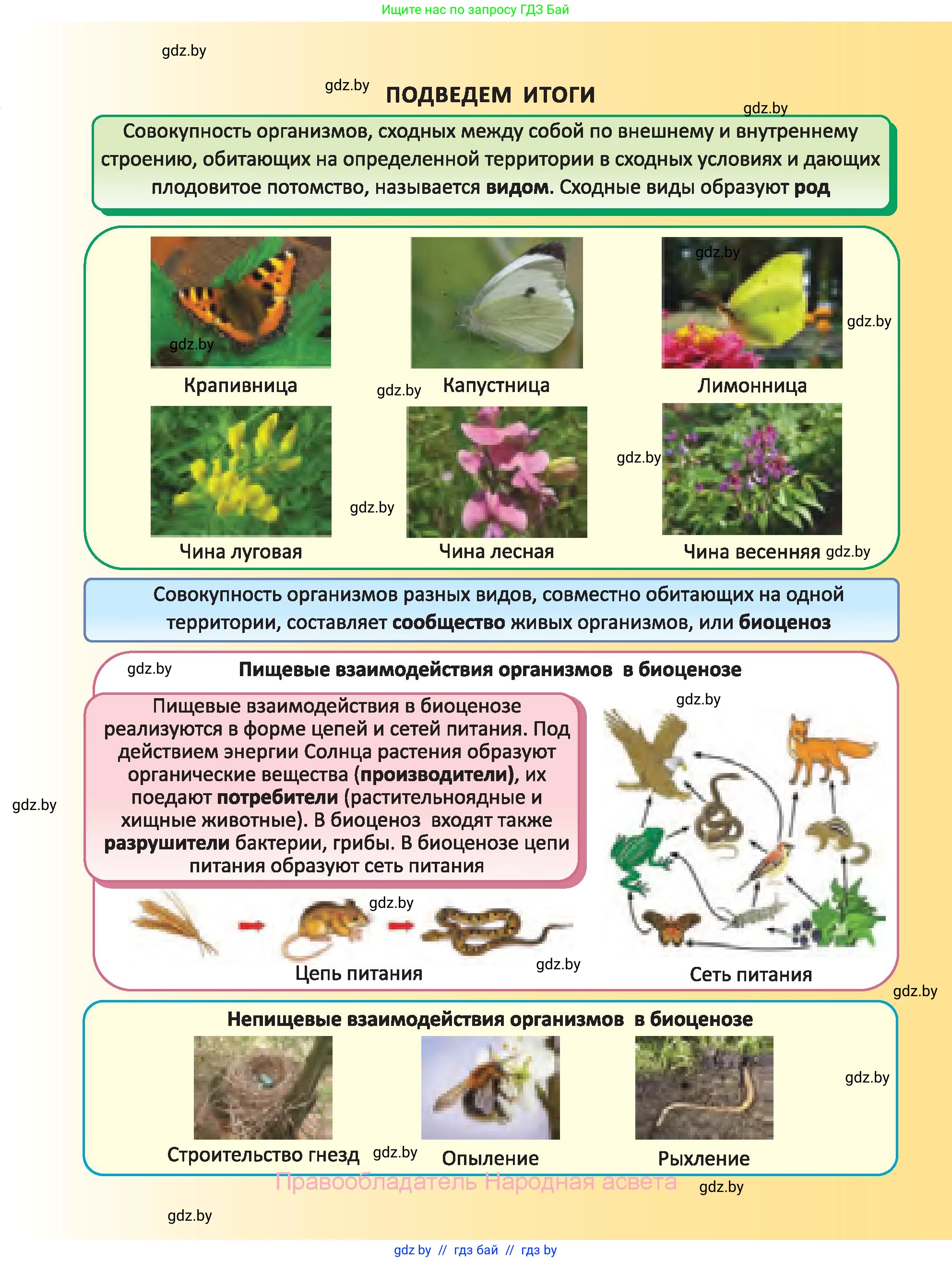 Биология, 6 класс Учебник, автор: Лисов Николай Дмитриевич, издательство Народная асвета, Минск, 2021, зелёного цвета, страница 109
