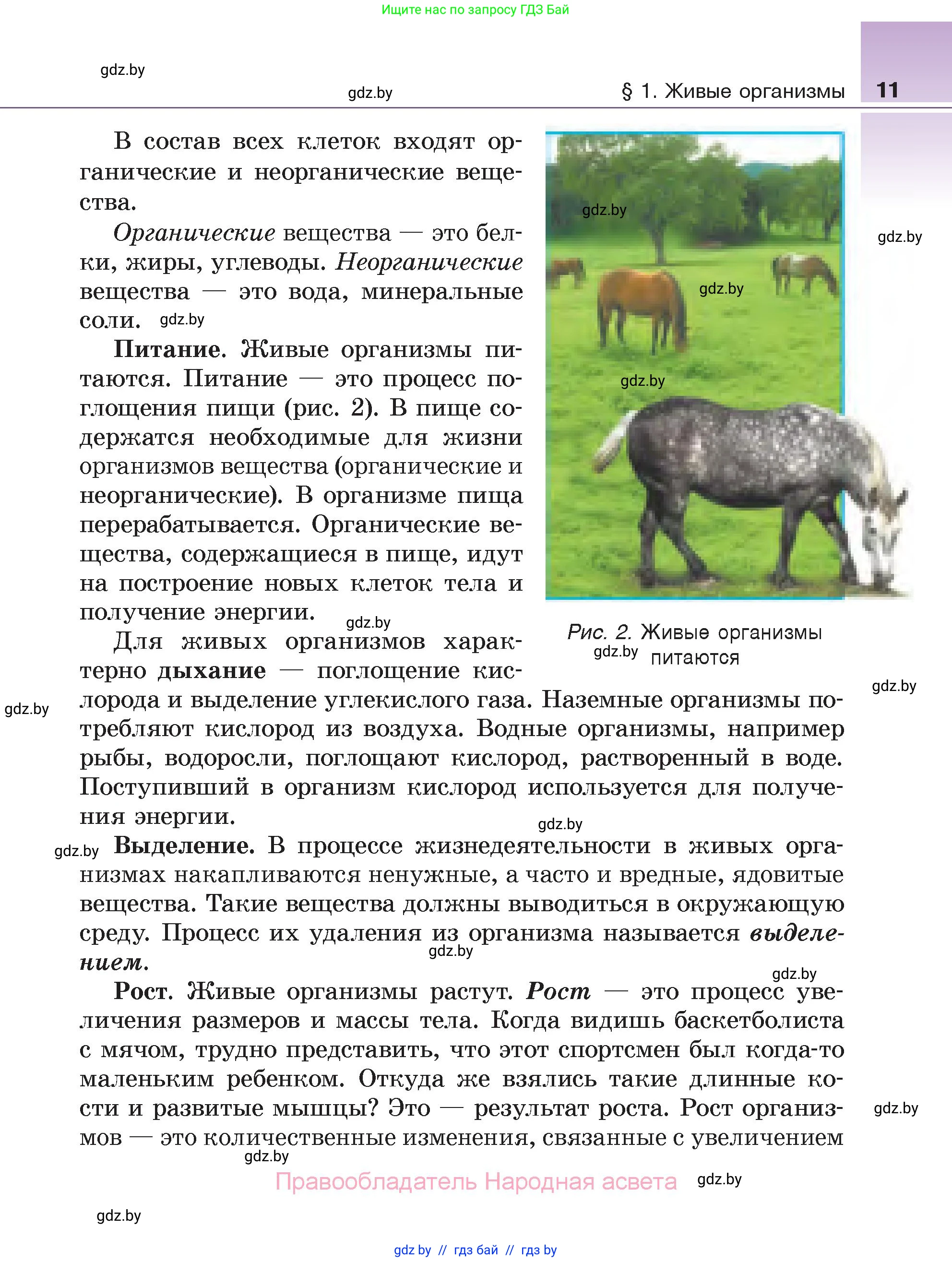 Биология, 6 класс Учебник, автор: Лисов Николай Дмитриевич, издательство Народная асвета, Минск, 2021, зелёного цвета, страница 11