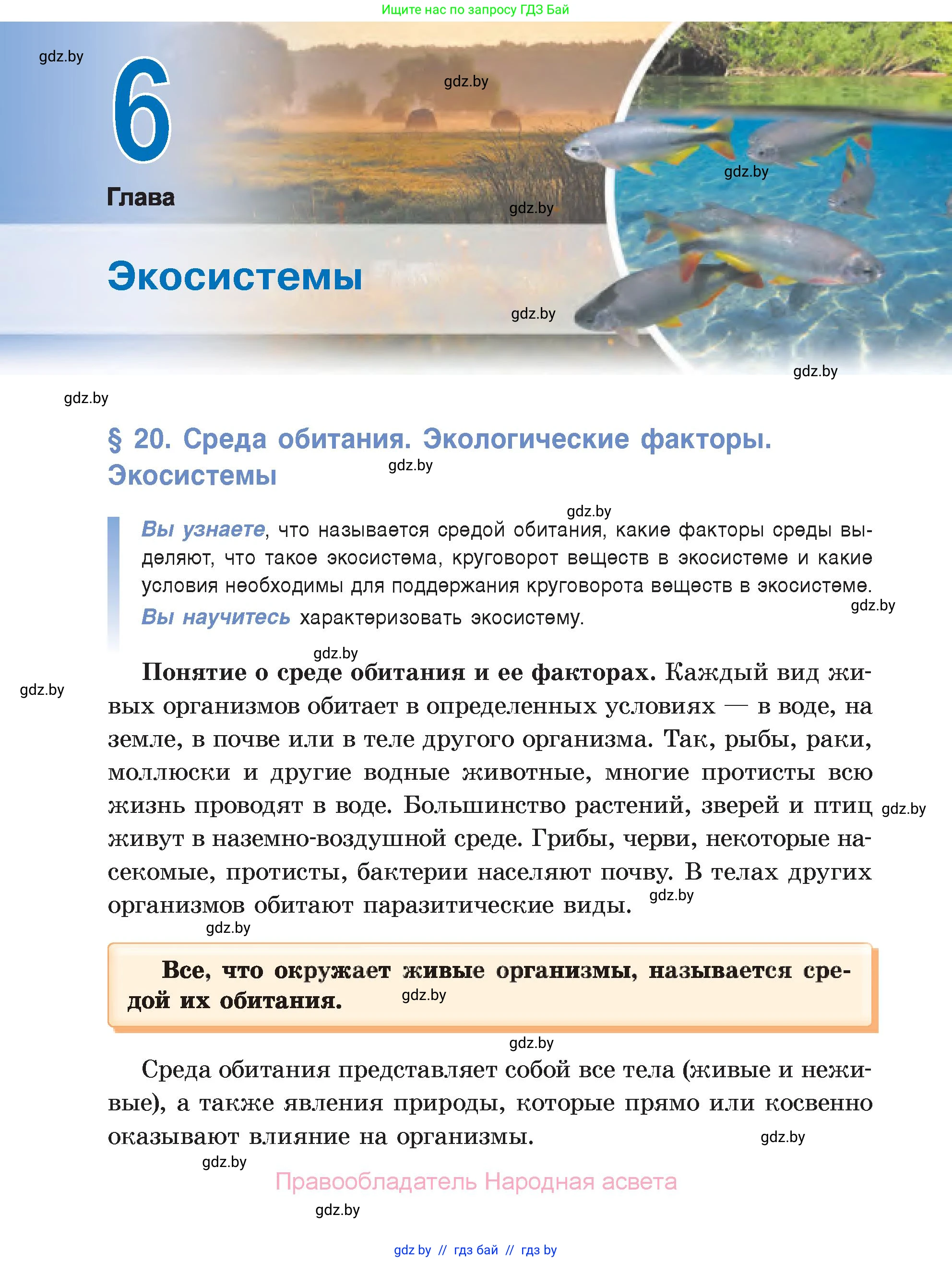 Биология, 6 класс Учебник, автор: Лисов Николай Дмитриевич, издательство Народная асвета, Минск, 2021, зелёного цвета, страница 110