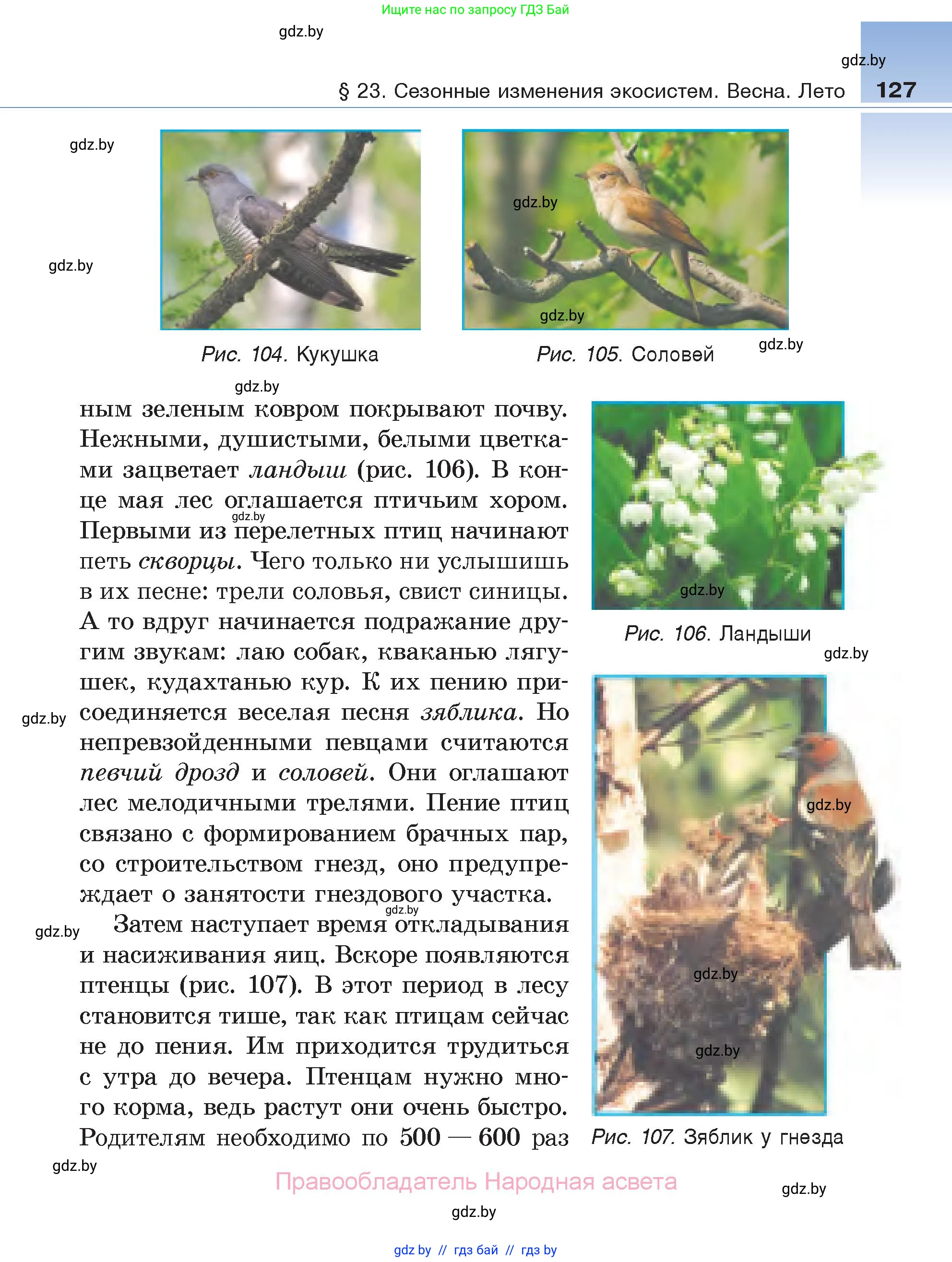 Биология, 6 класс Учебник, автор: Лисов Николай Дмитриевич, издательство Народная асвета, Минск, 2021, зелёного цвета, страница 127