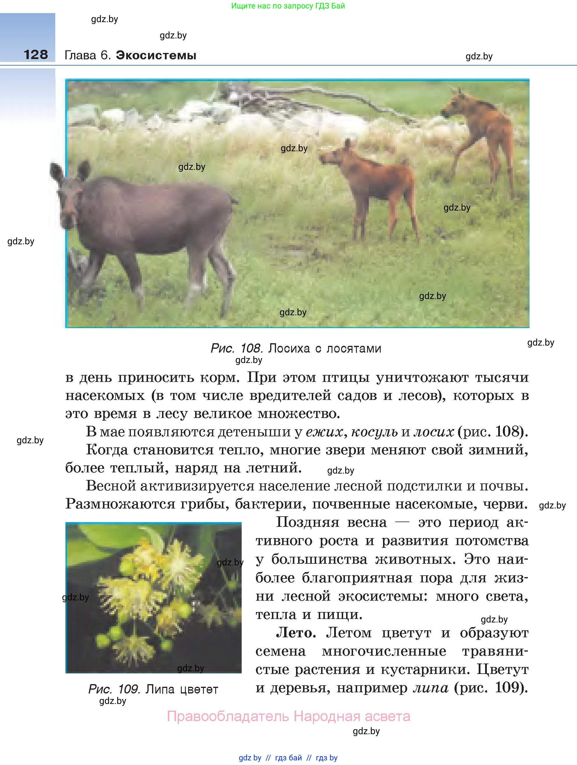 Биология, 6 класс Учебник, автор: Лисов Николай Дмитриевич, издательство Народная асвета, Минск, 2021, зелёного цвета, страница 128