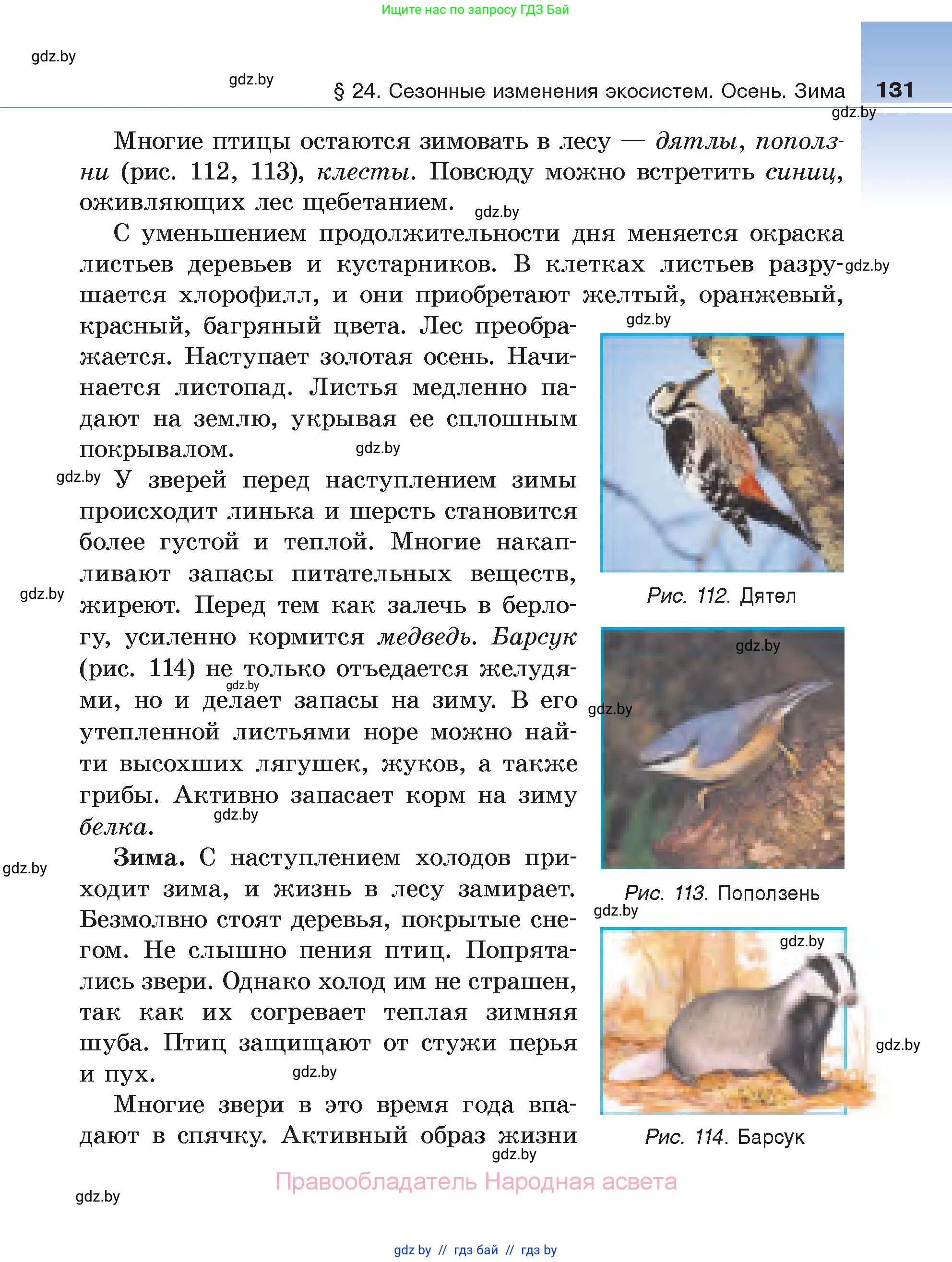 Биология, 6 класс Учебник, автор: Лисов Николай Дмитриевич, издательство Народная асвета, Минск, 2021, зелёного цвета, страница 131