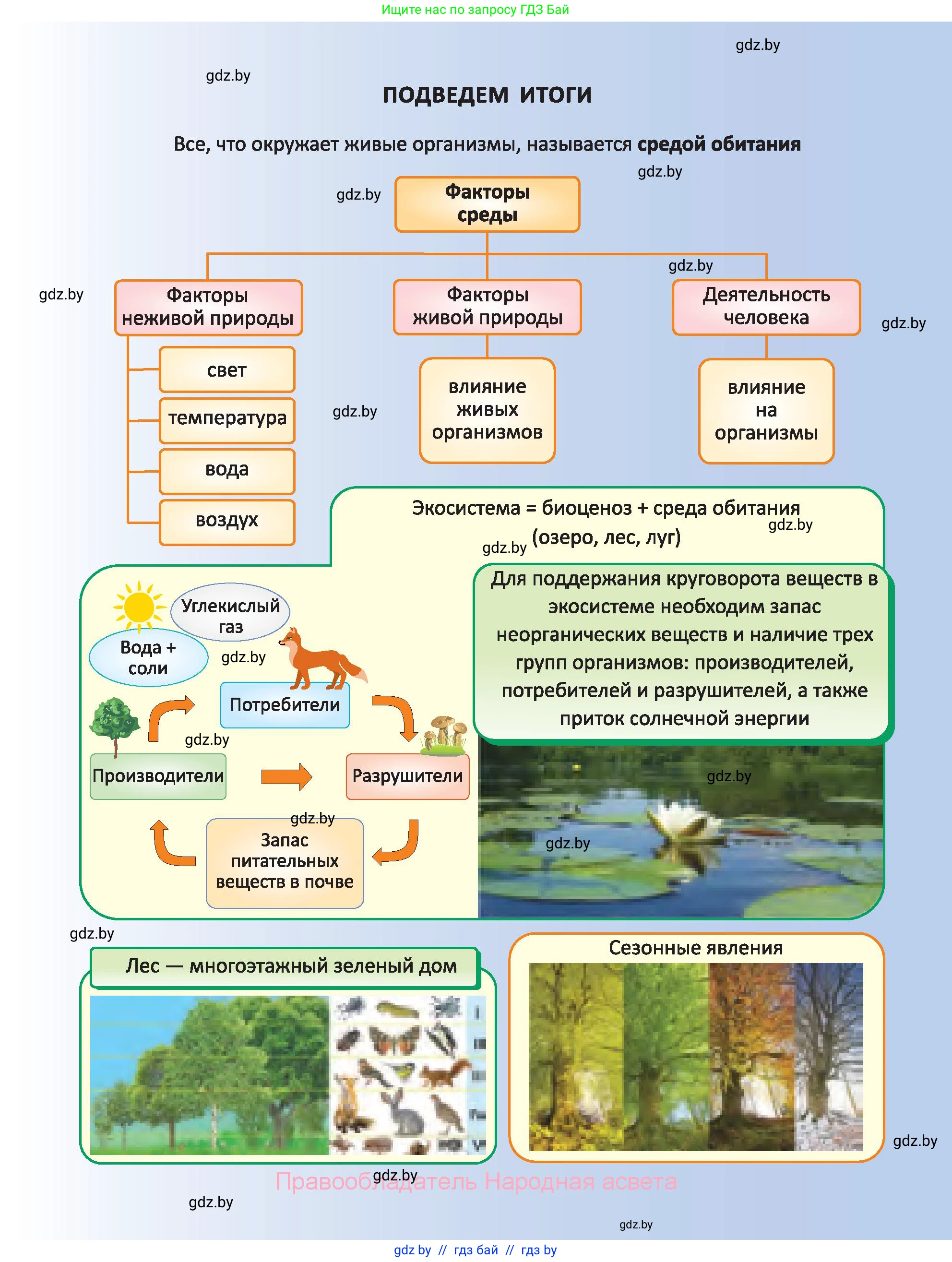 Биология, 6 класс Учебник, автор: Лисов Николай Дмитриевич, издательство Народная асвета, Минск, 2021, зелёного цвета, страница 135
