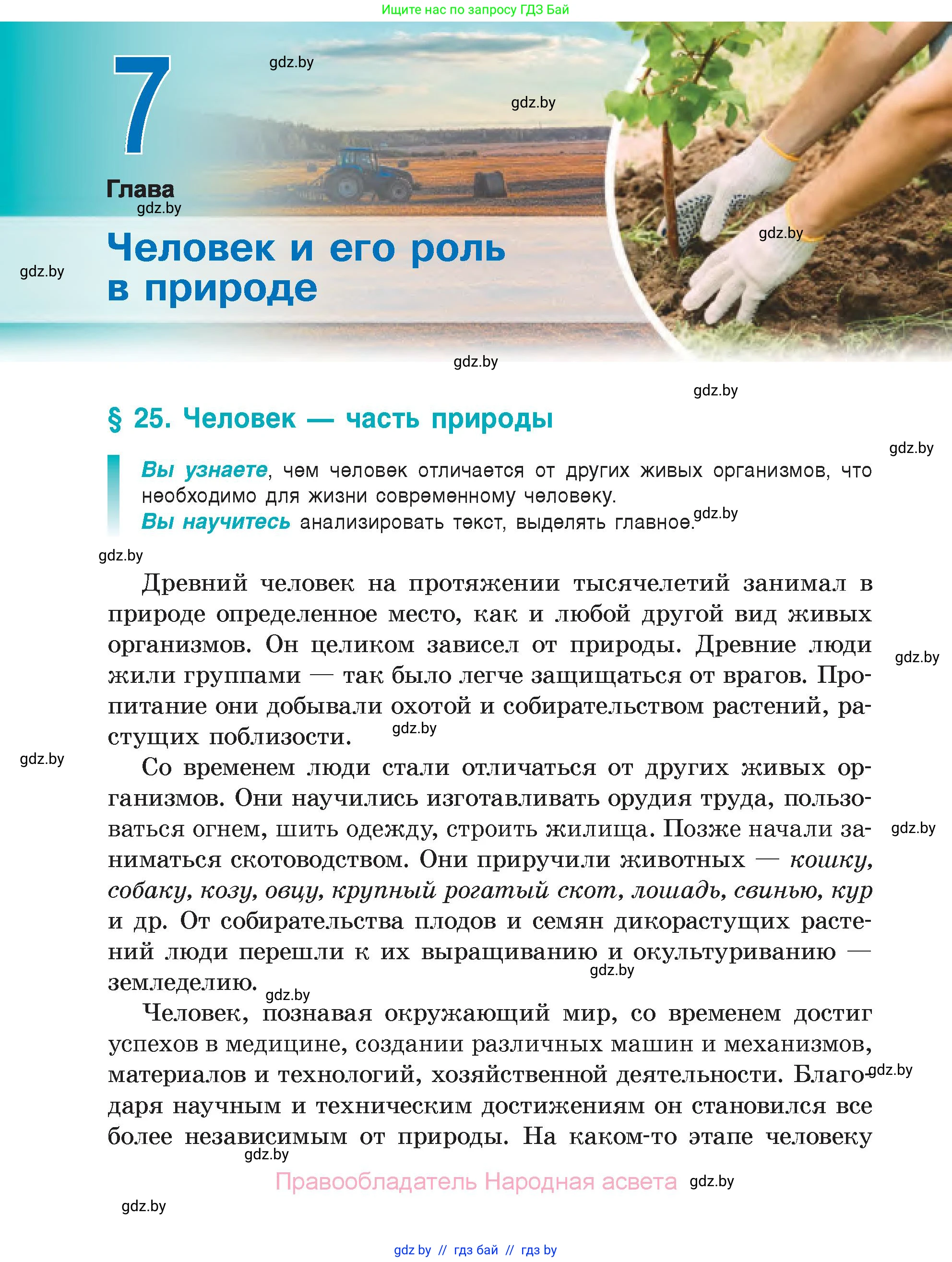 Биология, 6 класс Учебник, автор: Лисов Николай Дмитриевич, издательство Народная асвета, Минск, 2021, зелёного цвета, страница 136