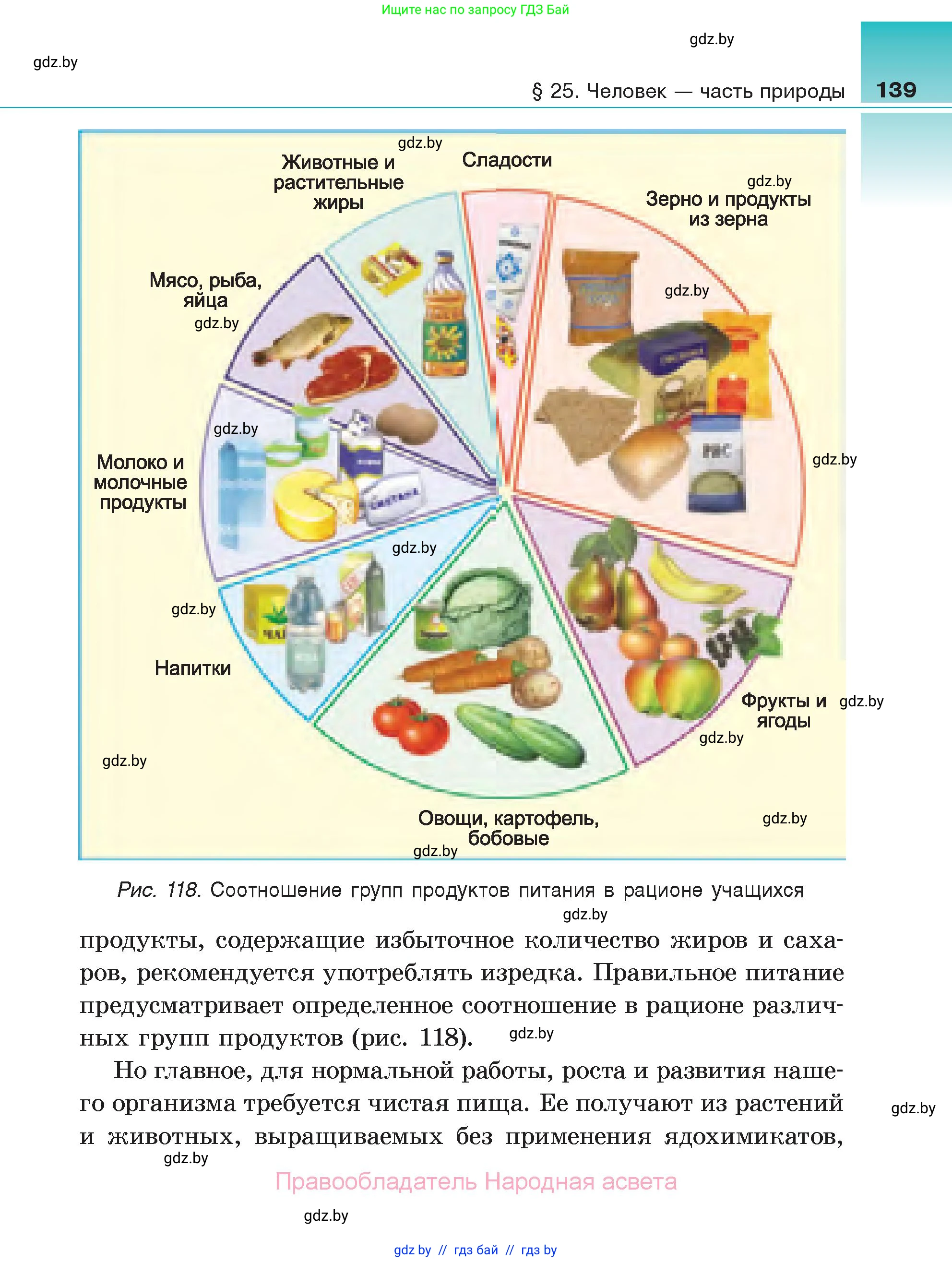 Биология, 6 класс Учебник, автор: Лисов Николай Дмитриевич, издательство Народная асвета, Минск, 2021, зелёного цвета, страница 139