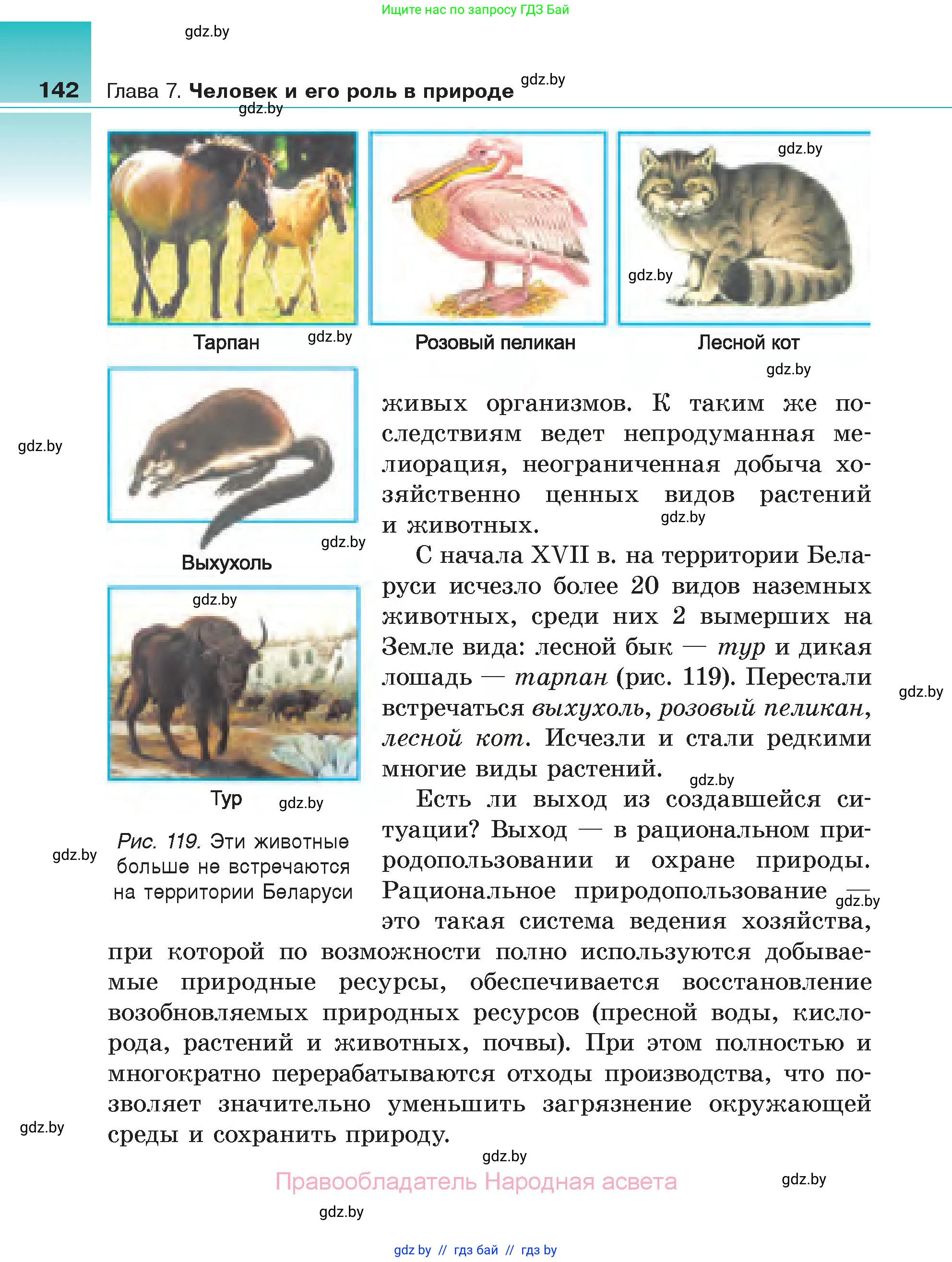 Биология, 6 класс Учебник, автор: Лисов Николай Дмитриевич, издательство Народная асвета, Минск, 2021, зелёного цвета, страница 142