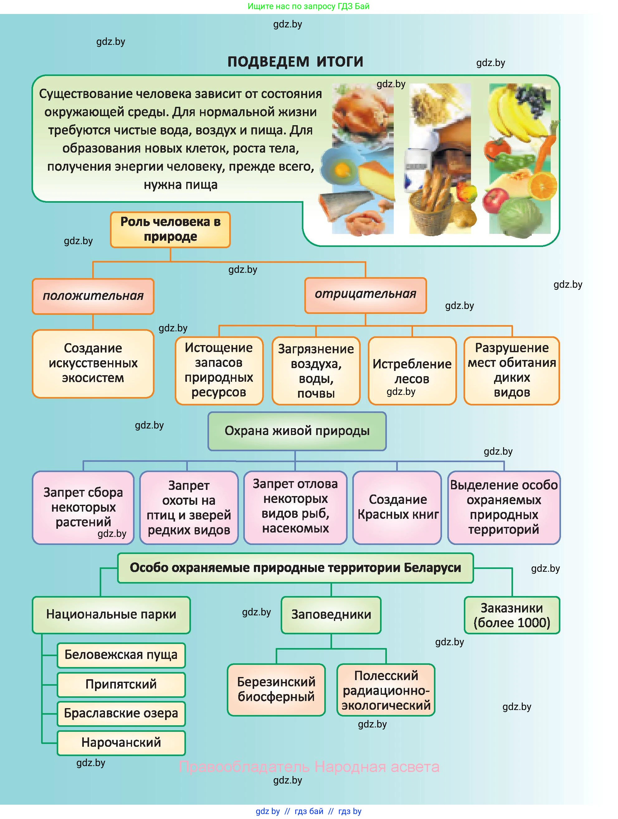 Биология, 6 класс Учебник, автор: Лисов Николай Дмитриевич, издательство Народная асвета, Минск, 2021, зелёного цвета, страница 150