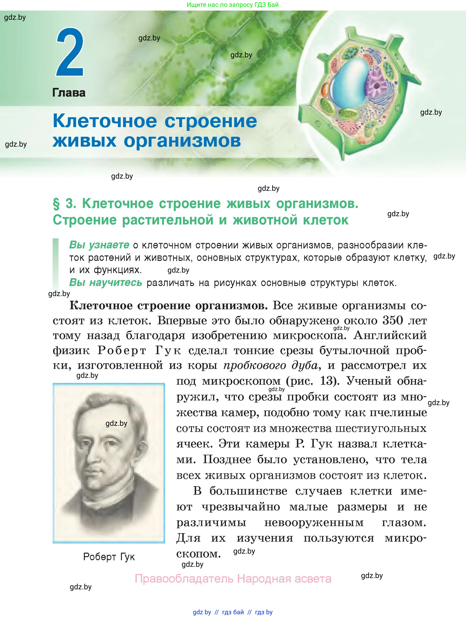 Биология, 6 класс Учебник, автор: Лисов Николай Дмитриевич, издательство Народная асвета, Минск, 2021, зелёного цвета, страница 22