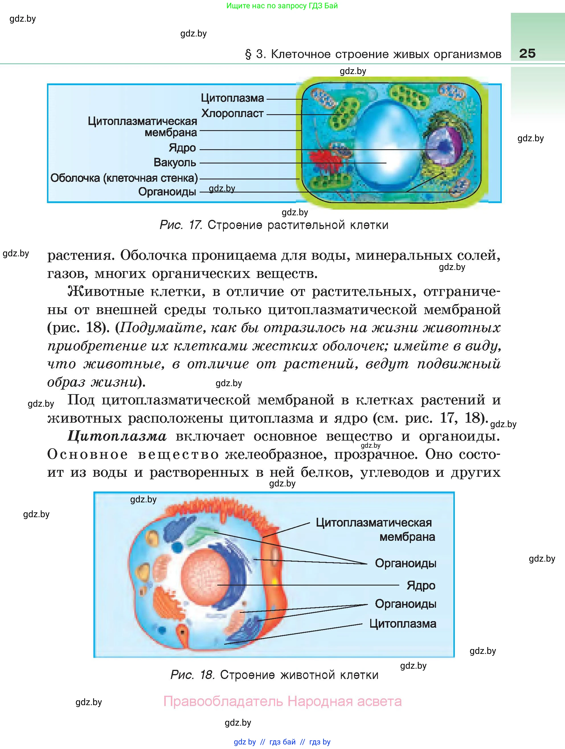 Биология, 6 класс Учебник, автор: Лисов Николай Дмитриевич, издательство Народная асвета, Минск, 2021, зелёного цвета, страница 25