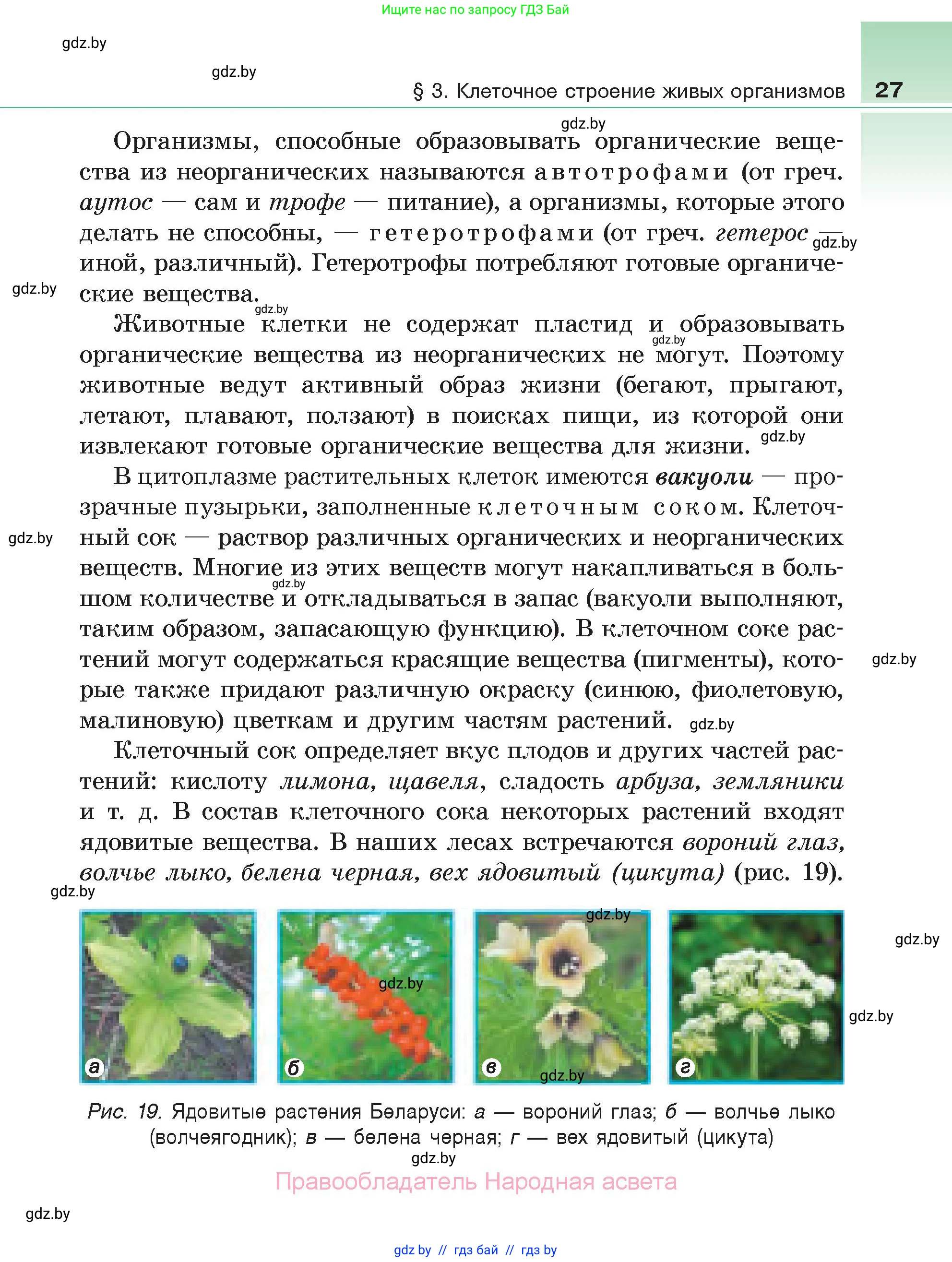 Биология, 6 класс Учебник, автор: Лисов Николай Дмитриевич, издательство Народная асвета, Минск, 2021, зелёного цвета, страница 27