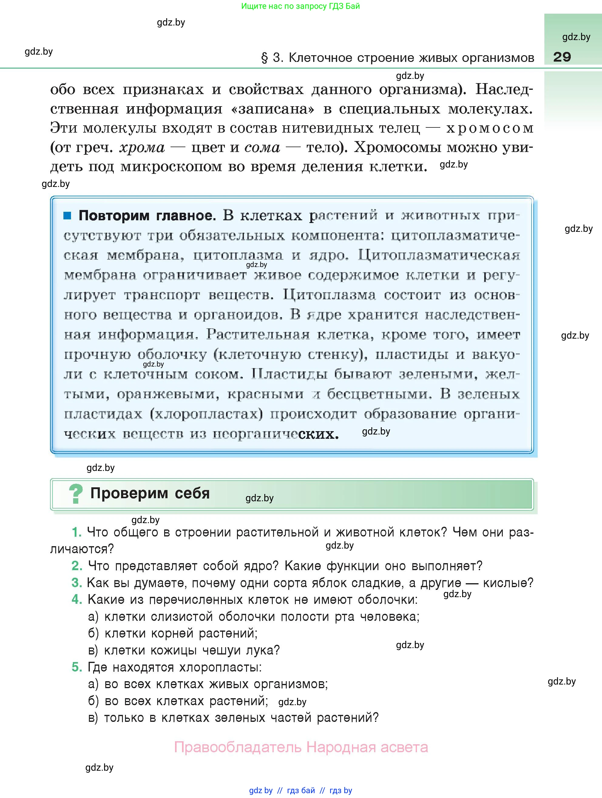 Биология, 6 класс Учебник, автор: Лисов Николай Дмитриевич, издательство Народная асвета, Минск, 2021, зелёного цвета, страница 29