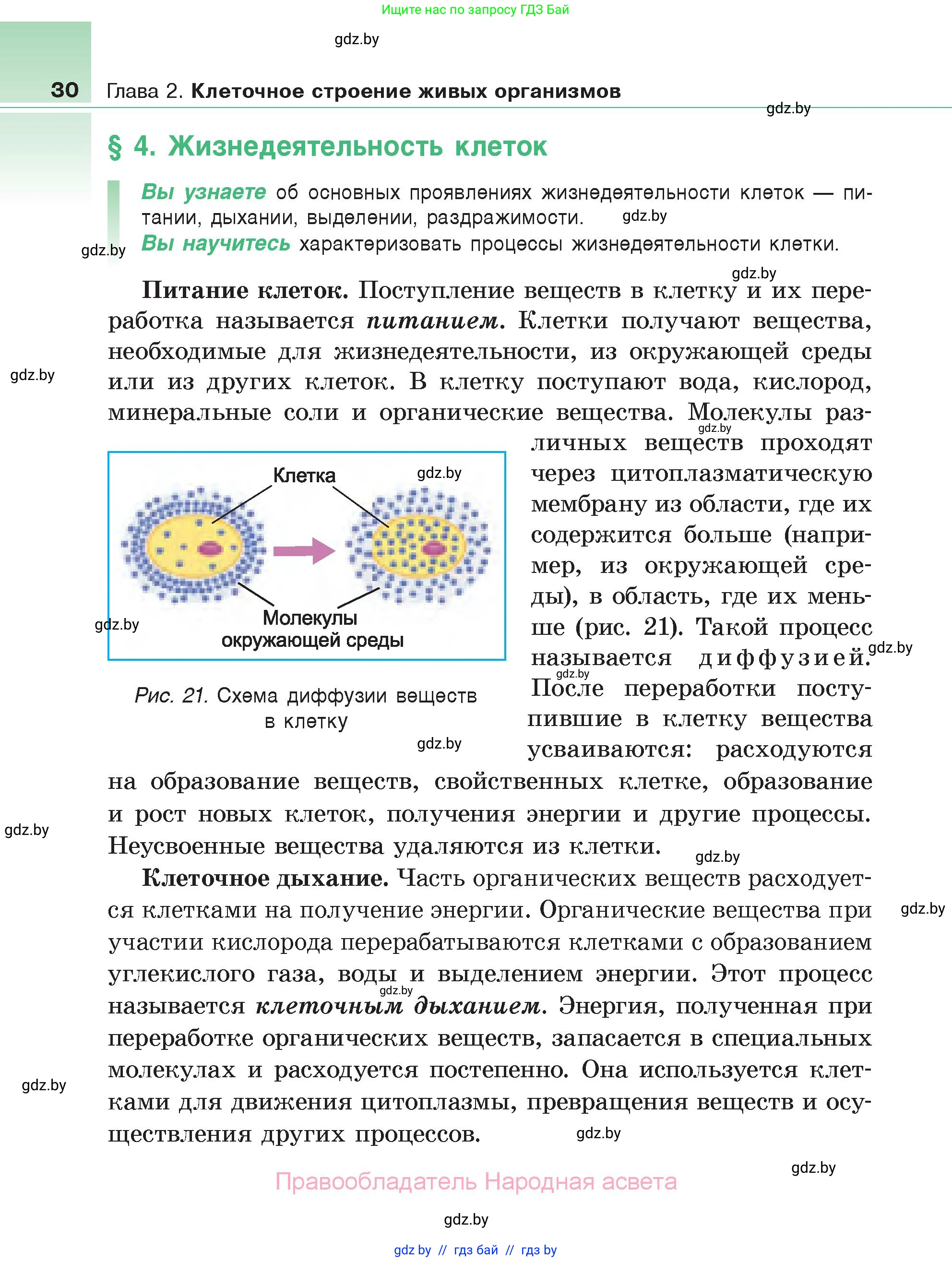 Биология, 6 класс Учебник, автор: Лисов Николай Дмитриевич, издательство Народная асвета, Минск, 2021, зелёного цвета, страница 30