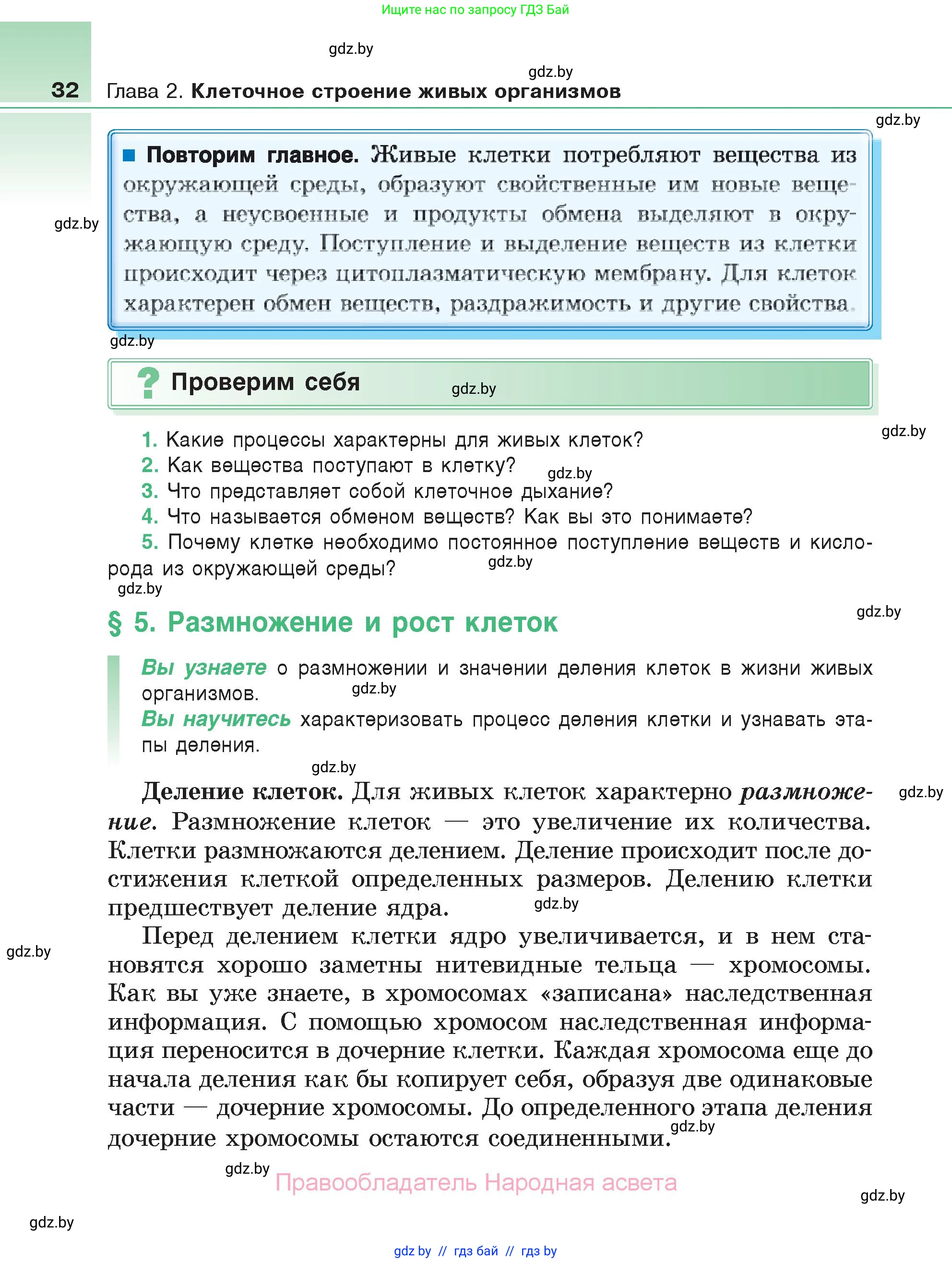 Биология, 6 класс Учебник, автор: Лисов Николай Дмитриевич, издательство Народная асвета, Минск, 2021, зелёного цвета, страница 32