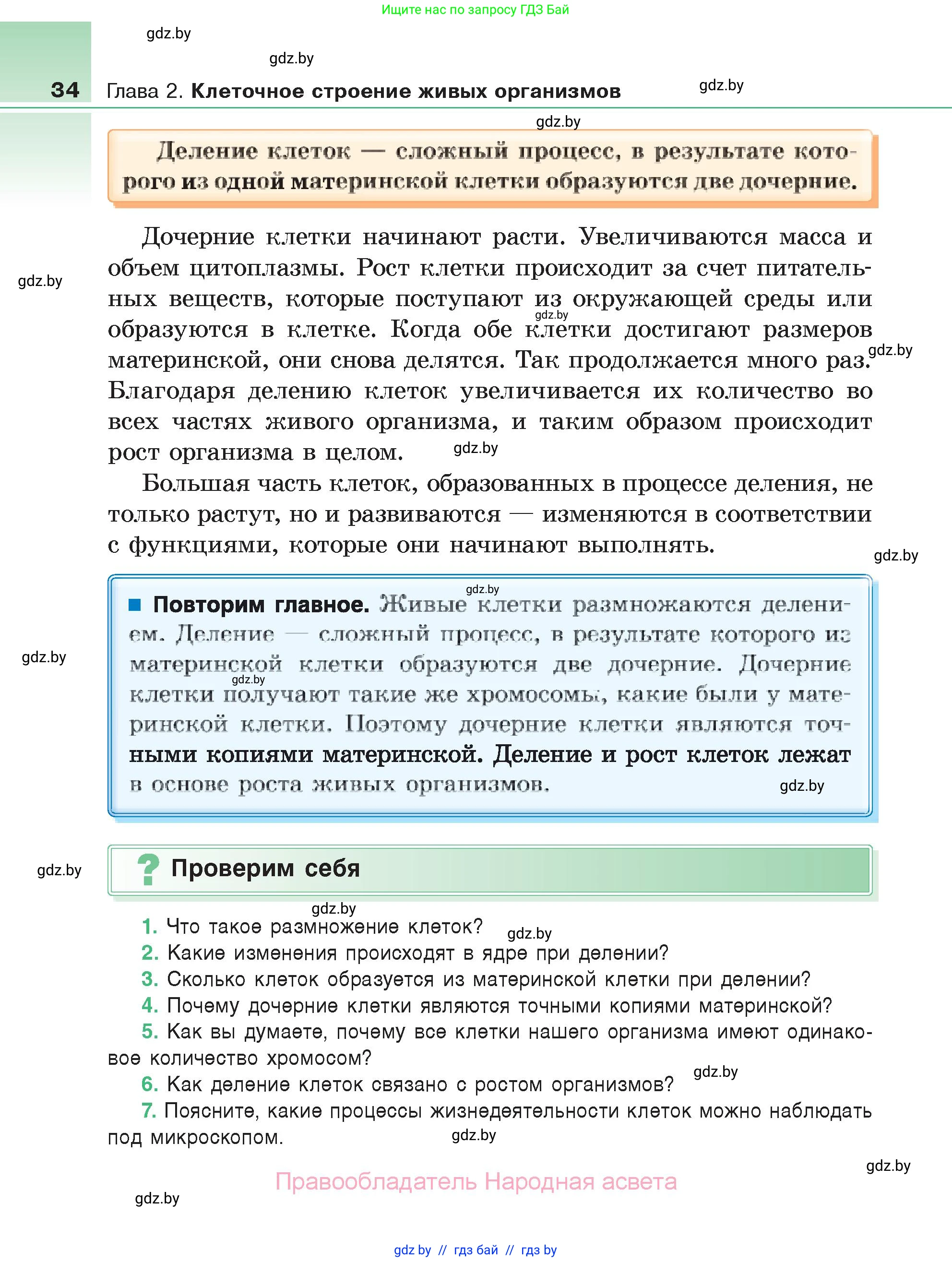 Биология, 6 класс Учебник, автор: Лисов Николай Дмитриевич, издательство Народная асвета, Минск, 2021, зелёного цвета, страница 34
