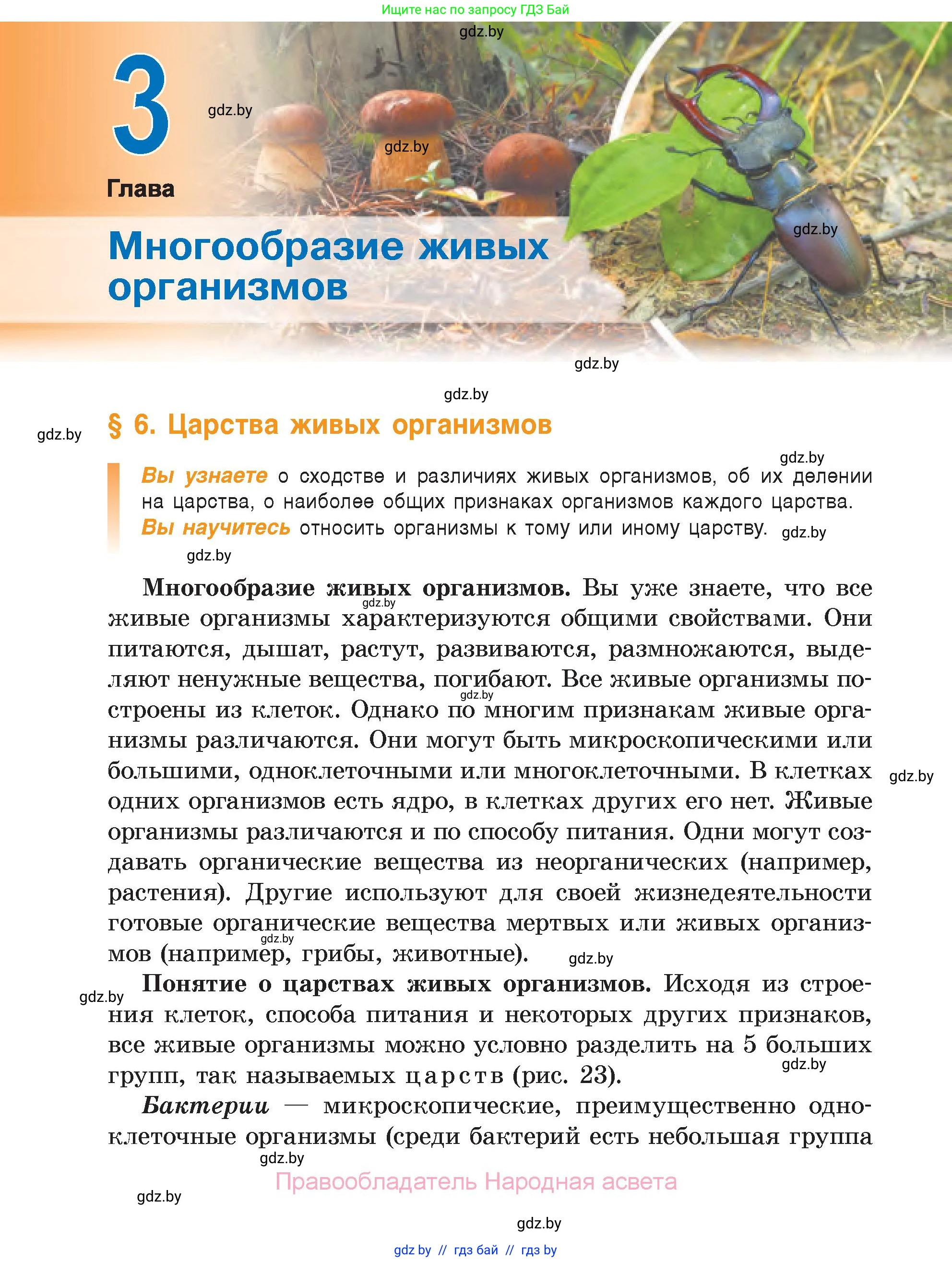 Биология, 6 класс Учебник, автор: Лисов Николай Дмитриевич, издательство Народная асвета, Минск, 2021, зелёного цвета, страница 36