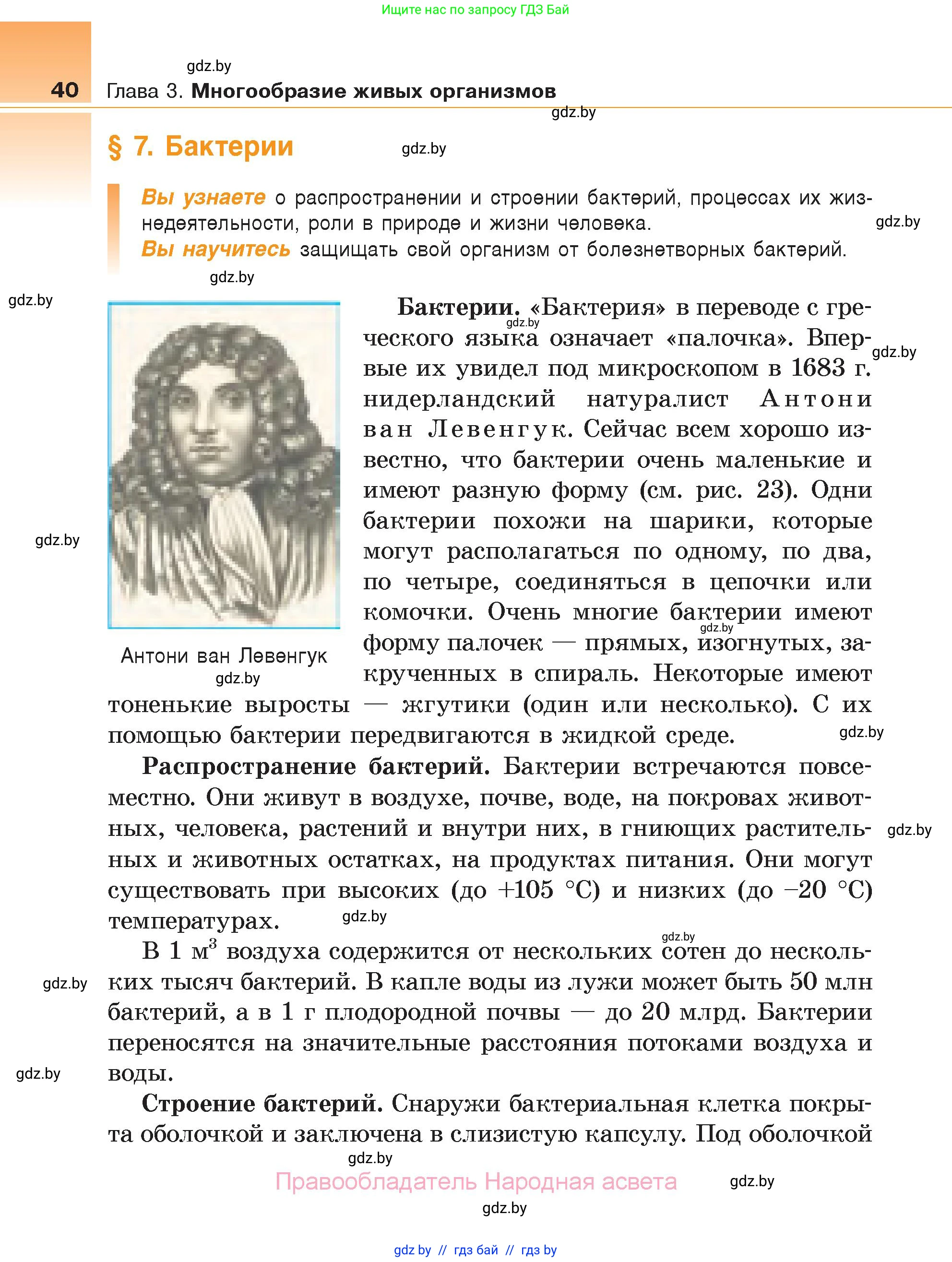 Биология, 6 класс Учебник, автор: Лисов Николай Дмитриевич, издательство Народная асвета, Минск, 2021, зелёного цвета, страница 40