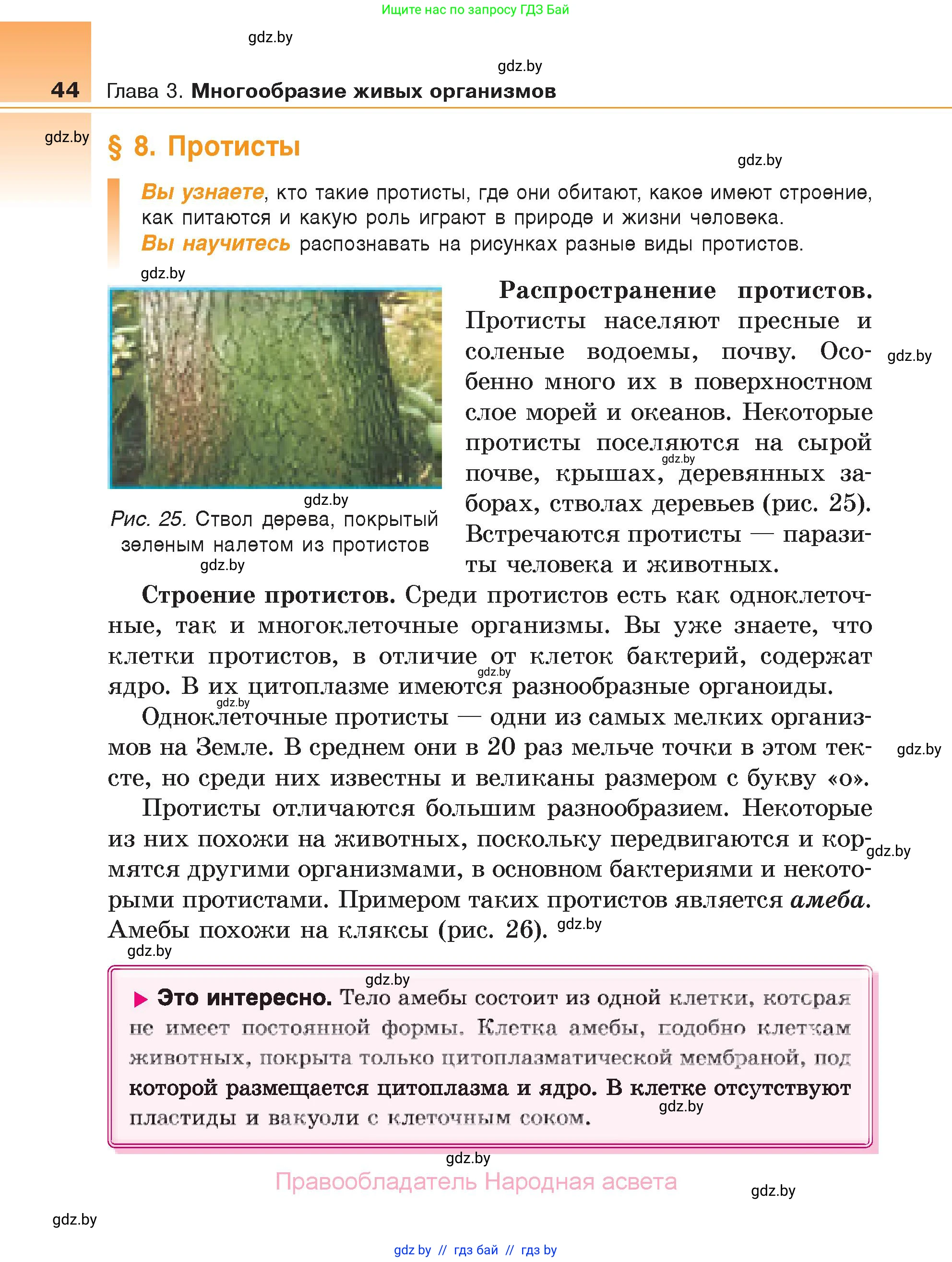 Биология, 6 класс Учебник, автор: Лисов Николай Дмитриевич, издательство Народная асвета, Минск, 2021, зелёного цвета, страница 44