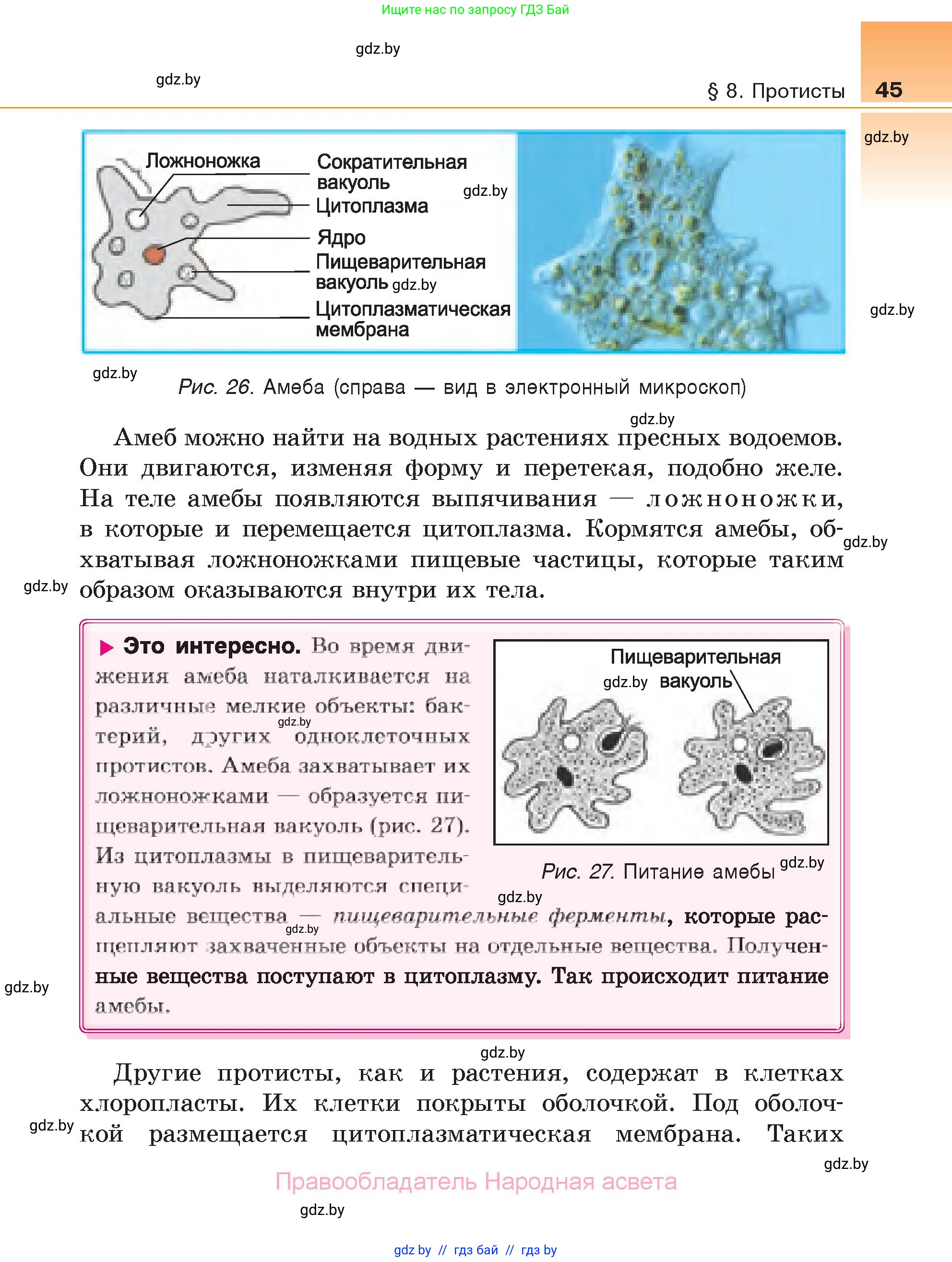 Биология, 6 класс Учебник, автор: Лисов Николай Дмитриевич, издательство Народная асвета, Минск, 2021, зелёного цвета, страница 45