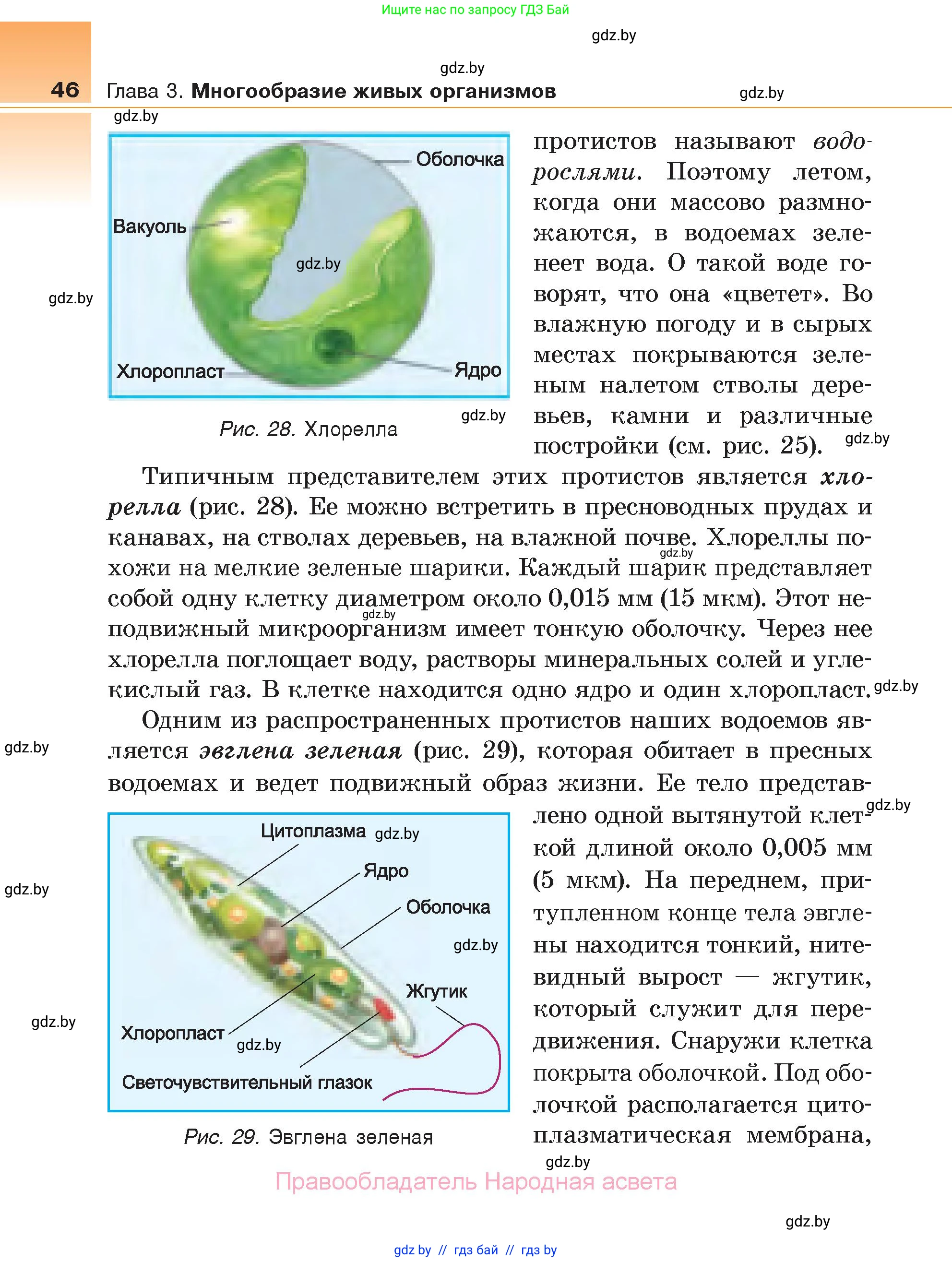 Биология, 6 класс Учебник, автор: Лисов Николай Дмитриевич, издательство Народная асвета, Минск, 2021, зелёного цвета, страница 46