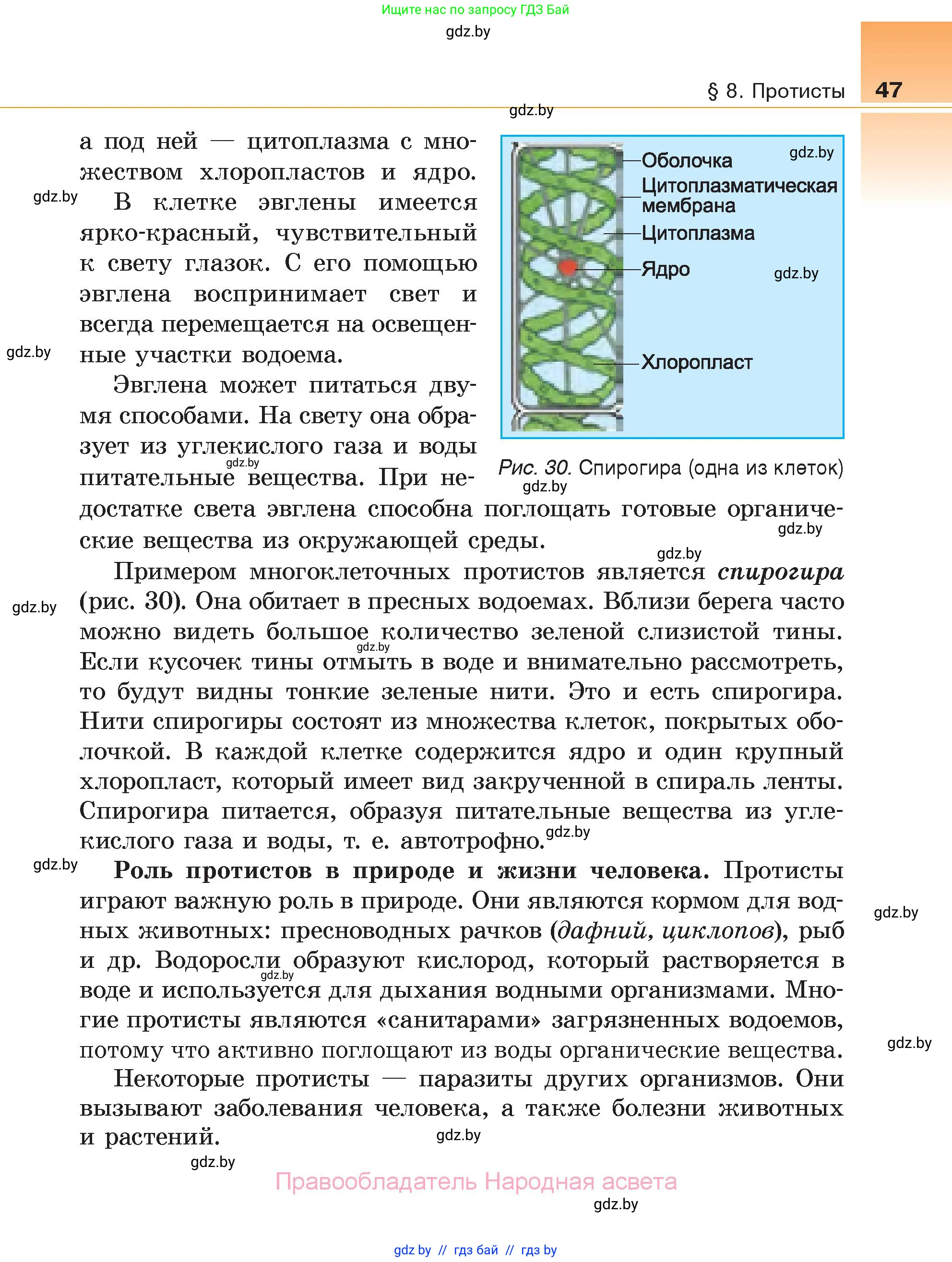 Биология, 6 класс Учебник, автор: Лисов Николай Дмитриевич, издательство Народная асвета, Минск, 2021, зелёного цвета, страница 47
