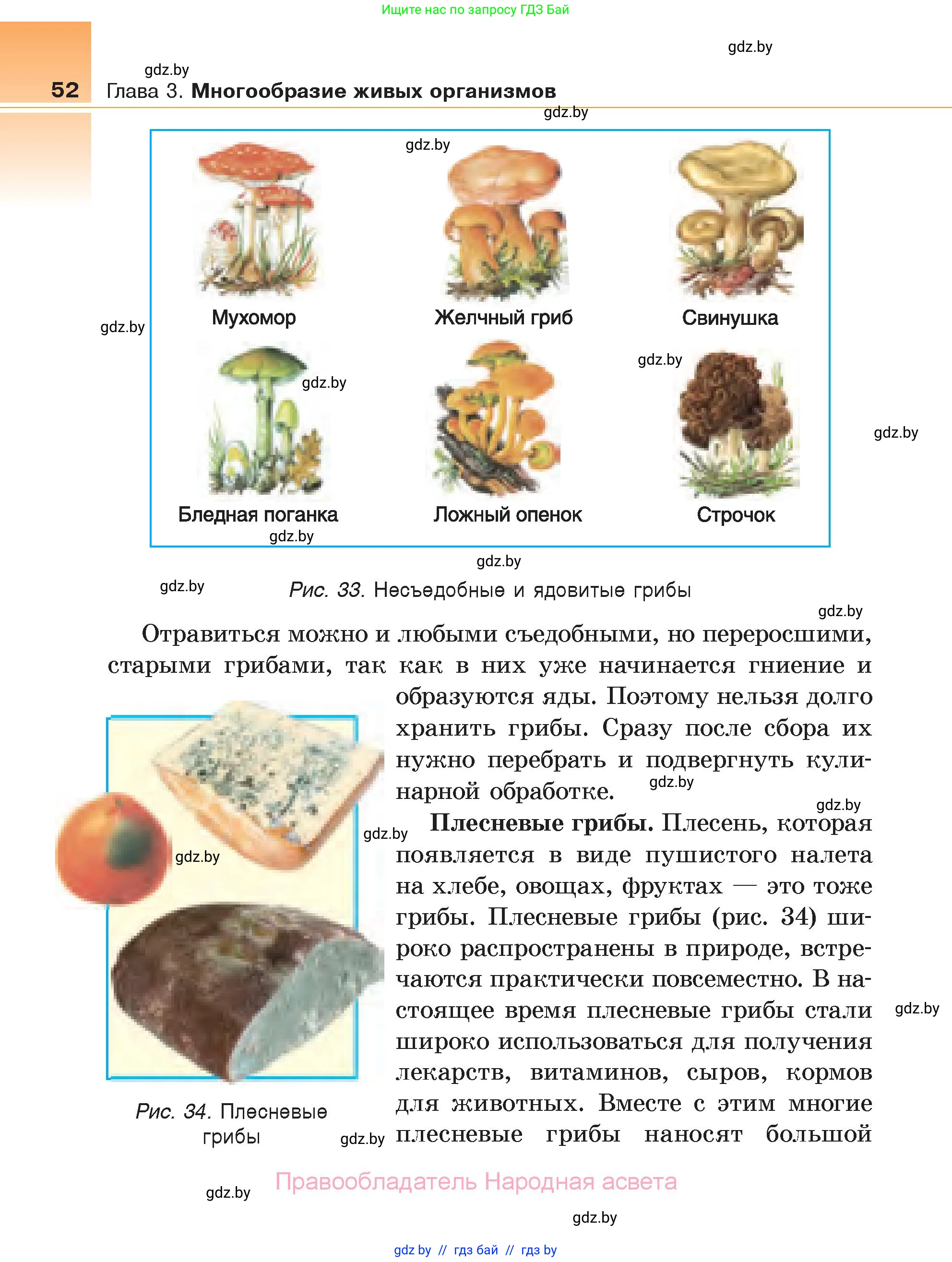 Биология, 6 класс Учебник, автор: Лисов Николай Дмитриевич, издательство Народная асвета, Минск, 2021, зелёного цвета, страница 52