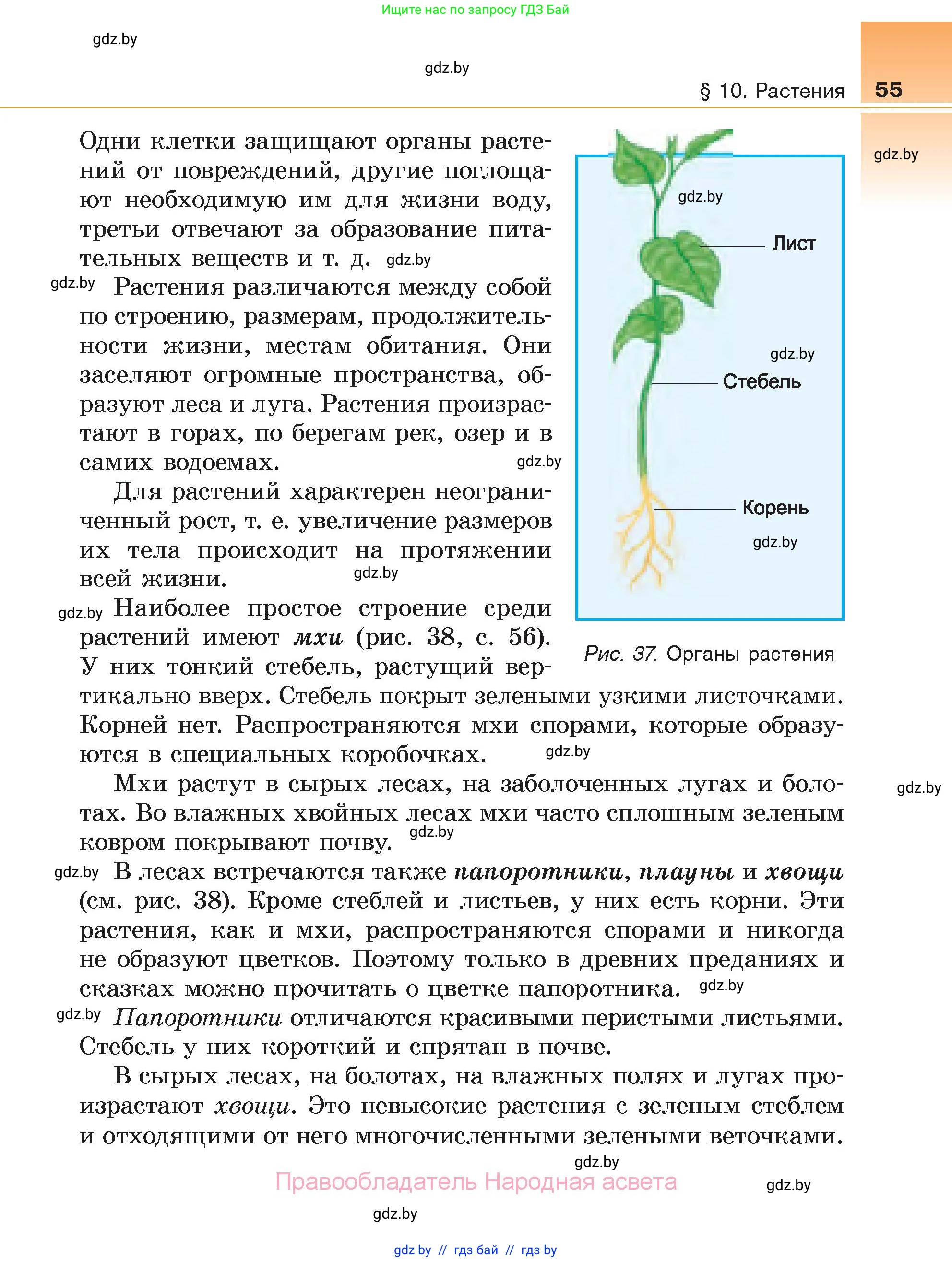 Биология, 6 класс Учебник, автор: Лисов Николай Дмитриевич, издательство Народная асвета, Минск, 2021, зелёного цвета, страница 55