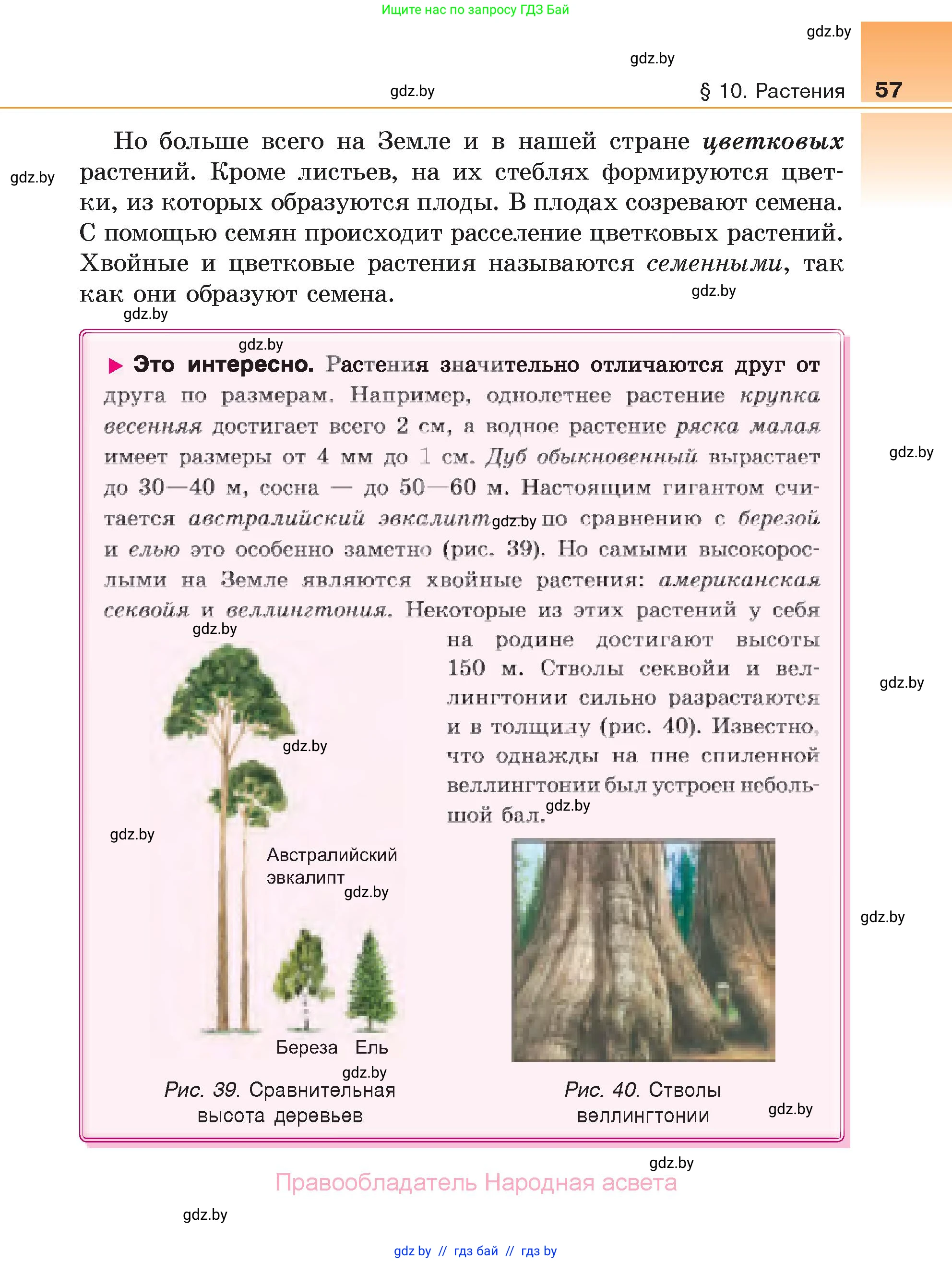 Биология, 6 класс Учебник, автор: Лисов Николай Дмитриевич, издательство Народная асвета, Минск, 2021, зелёного цвета, страница 57