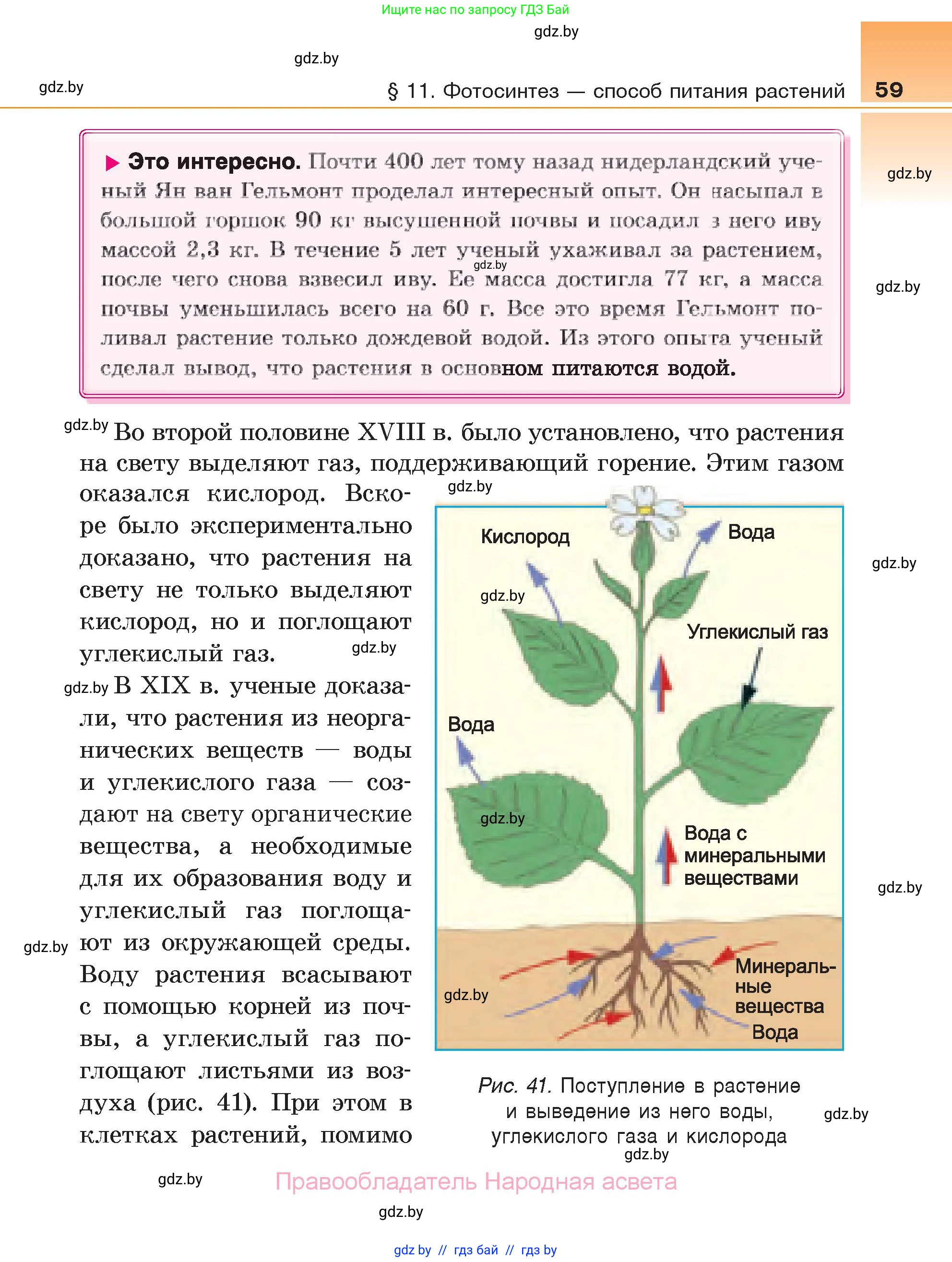 Биология, 6 класс Учебник, автор: Лисов Николай Дмитриевич, издательство Народная асвета, Минск, 2021, зелёного цвета, страница 59