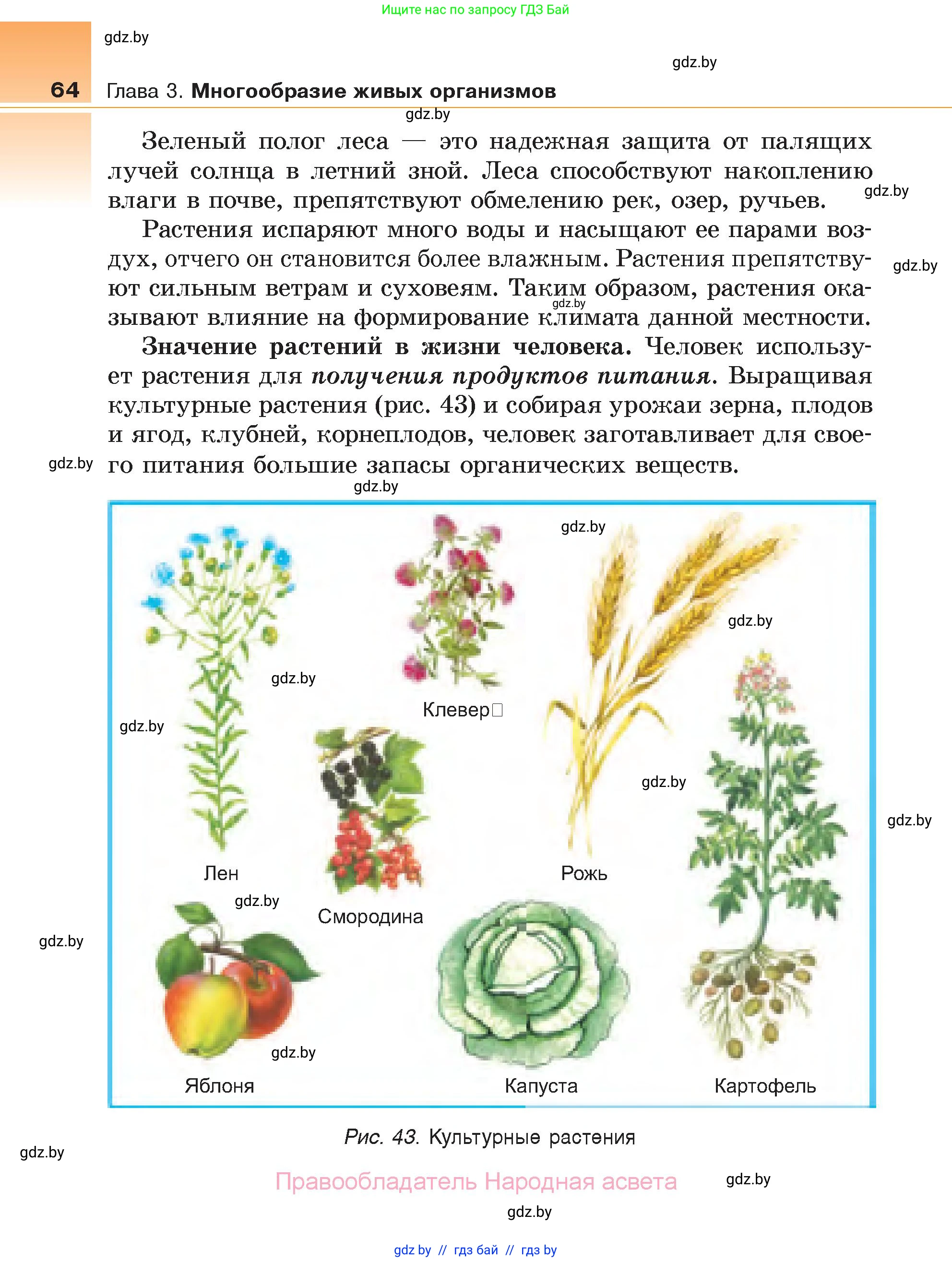 Биология, 6 класс Учебник, автор: Лисов Николай Дмитриевич, издательство Народная асвета, Минск, 2021, зелёного цвета, страница 64