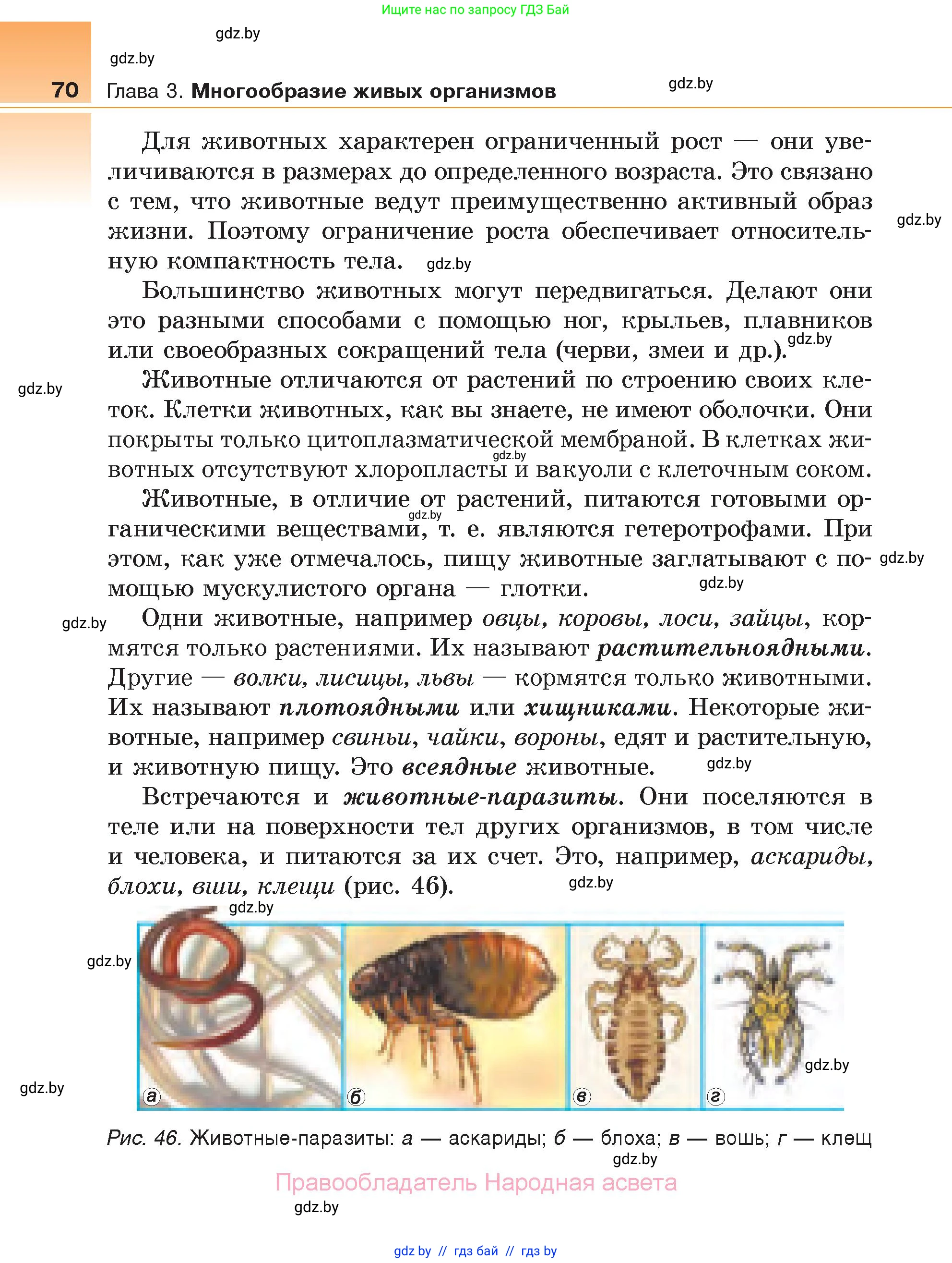 Биология, 6 класс Учебник, автор: Лисов Николай Дмитриевич, издательство Народная асвета, Минск, 2021, зелёного цвета, страница 70