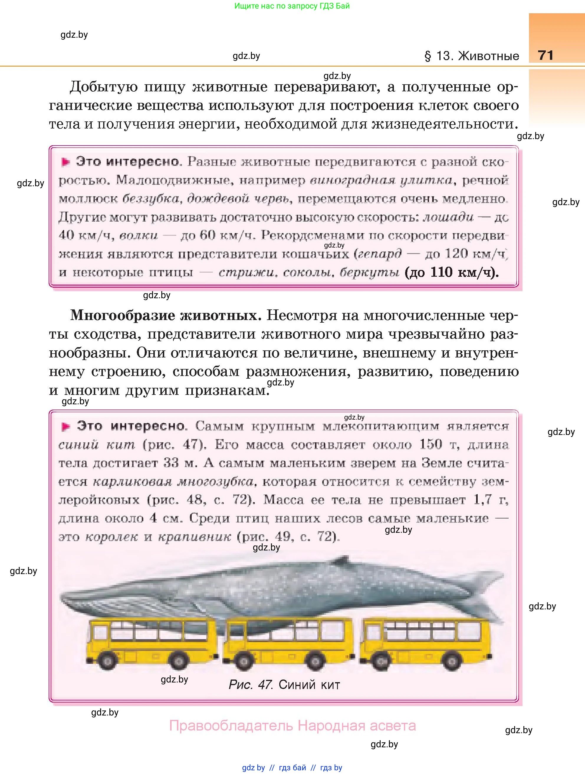 Биология, 6 класс Учебник, автор: Лисов Николай Дмитриевич, издательство Народная асвета, Минск, 2021, зелёного цвета, страница 71
