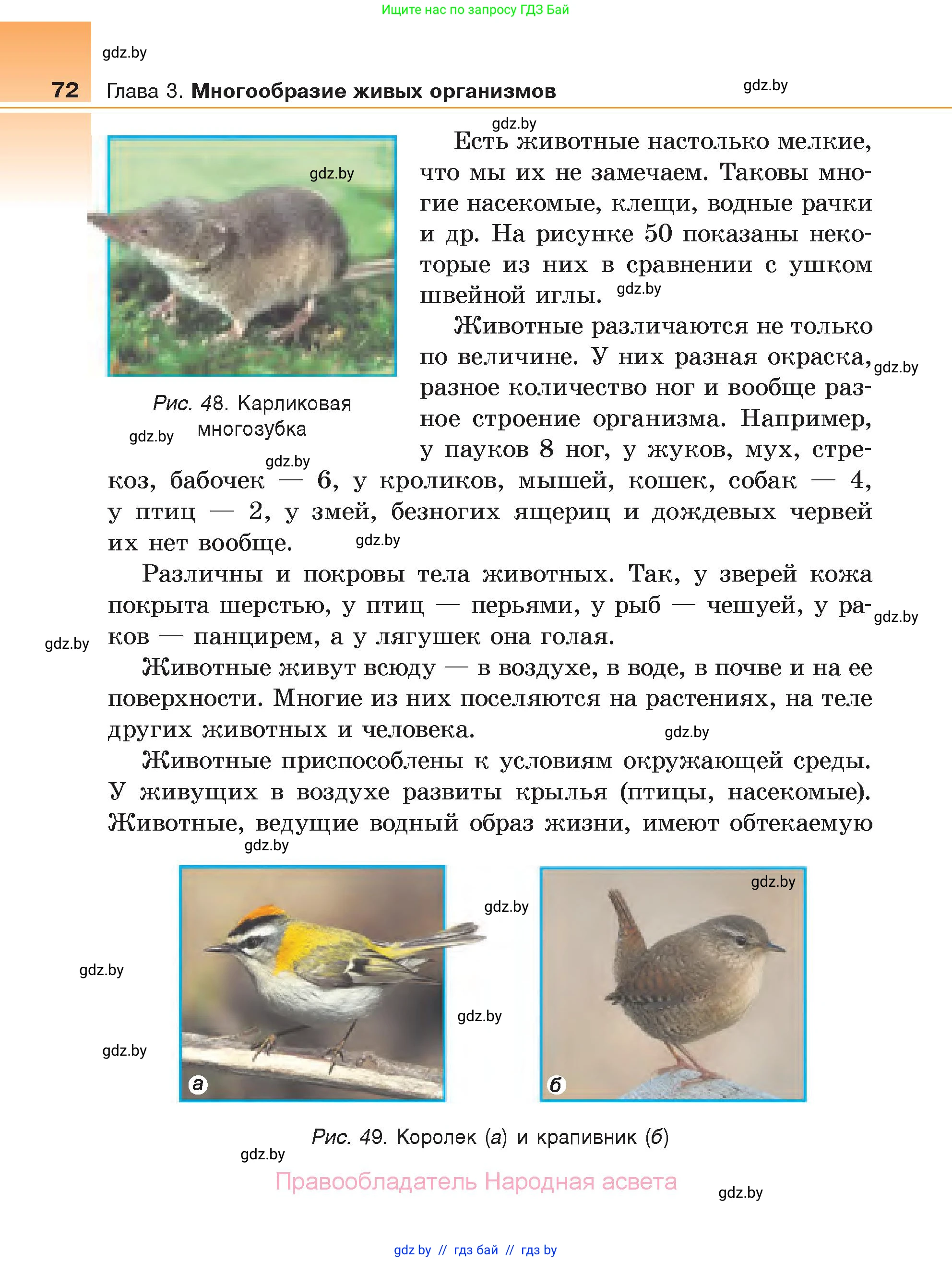 Биология, 6 класс Учебник, автор: Лисов Николай Дмитриевич, издательство Народная асвета, Минск, 2021, зелёного цвета, страница 72
