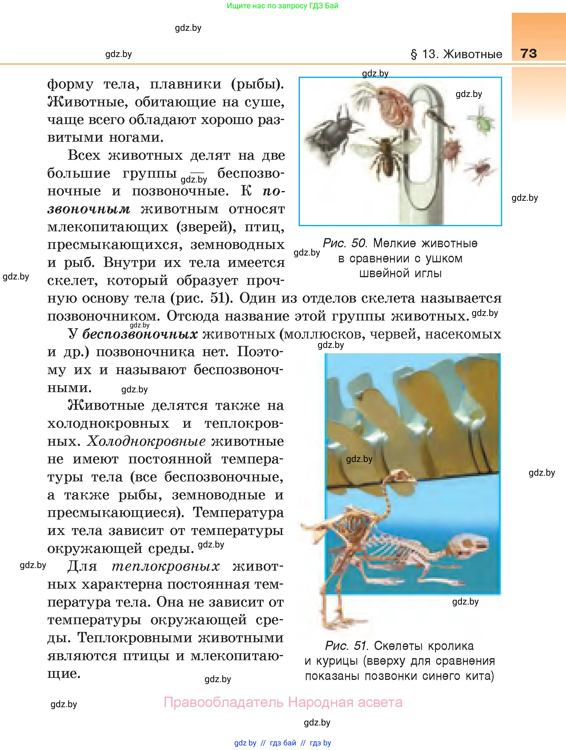 Биология, 6 класс Учебник, автор: Лисов Николай Дмитриевич, издательство Народная асвета, Минск, 2021, зелёного цвета, страница 73