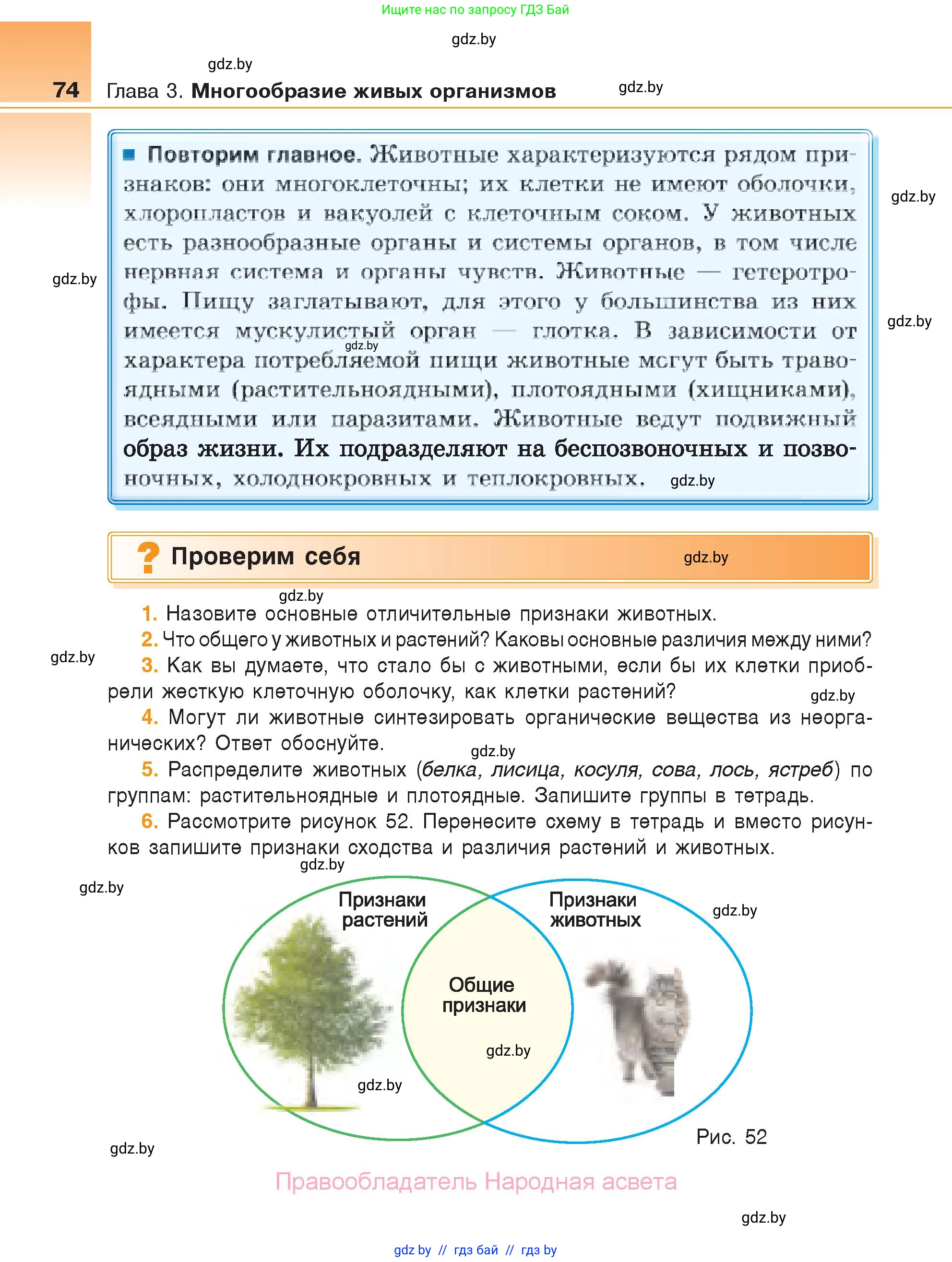 Биология, 6 класс Учебник, автор: Лисов Николай Дмитриевич, издательство Народная асвета, Минск, 2021, зелёного цвета, страница 74