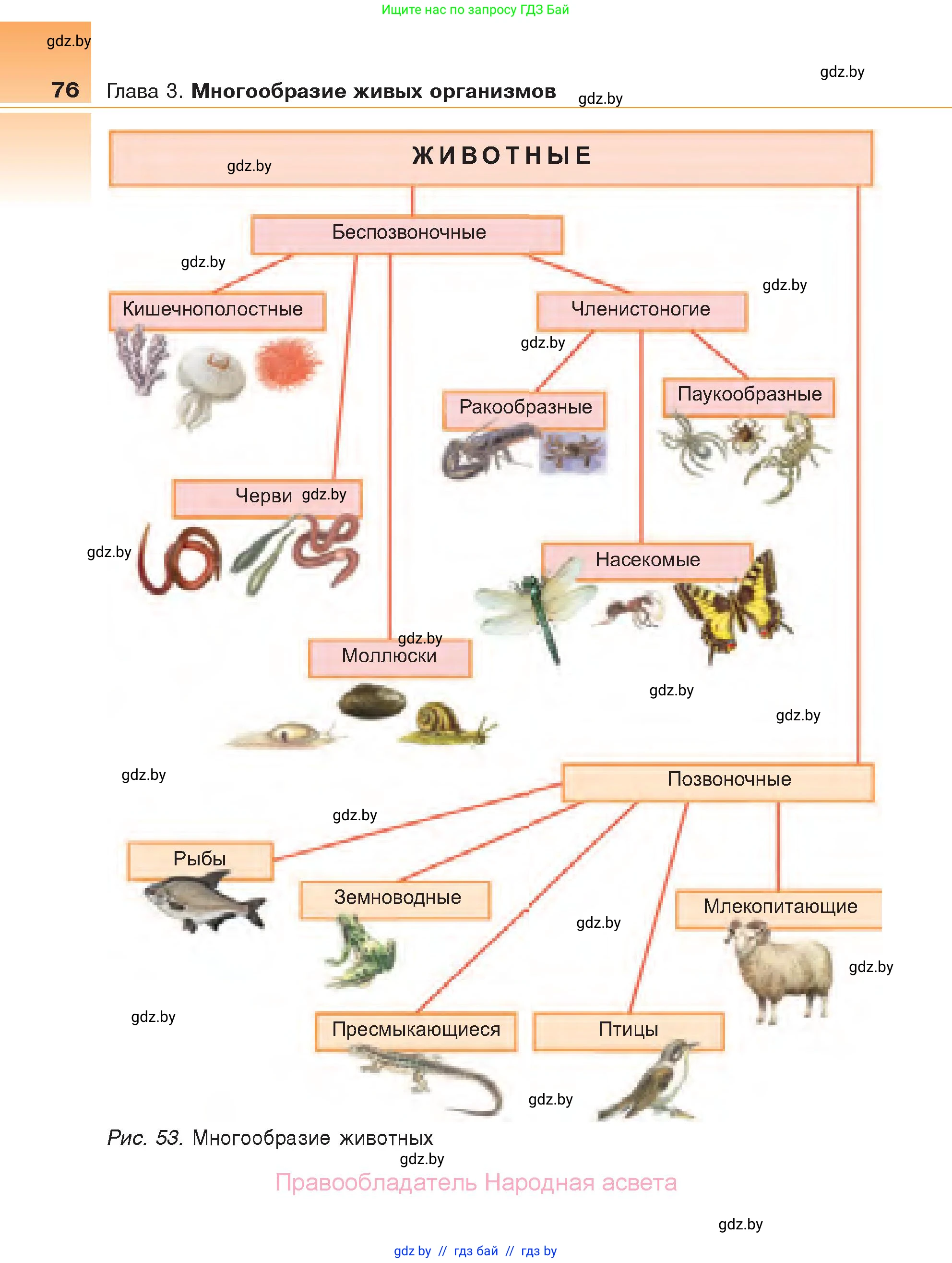 Биология, 6 класс Учебник, автор: Лисов Николай Дмитриевич, издательство Народная асвета, Минск, 2021, зелёного цвета, страница 76