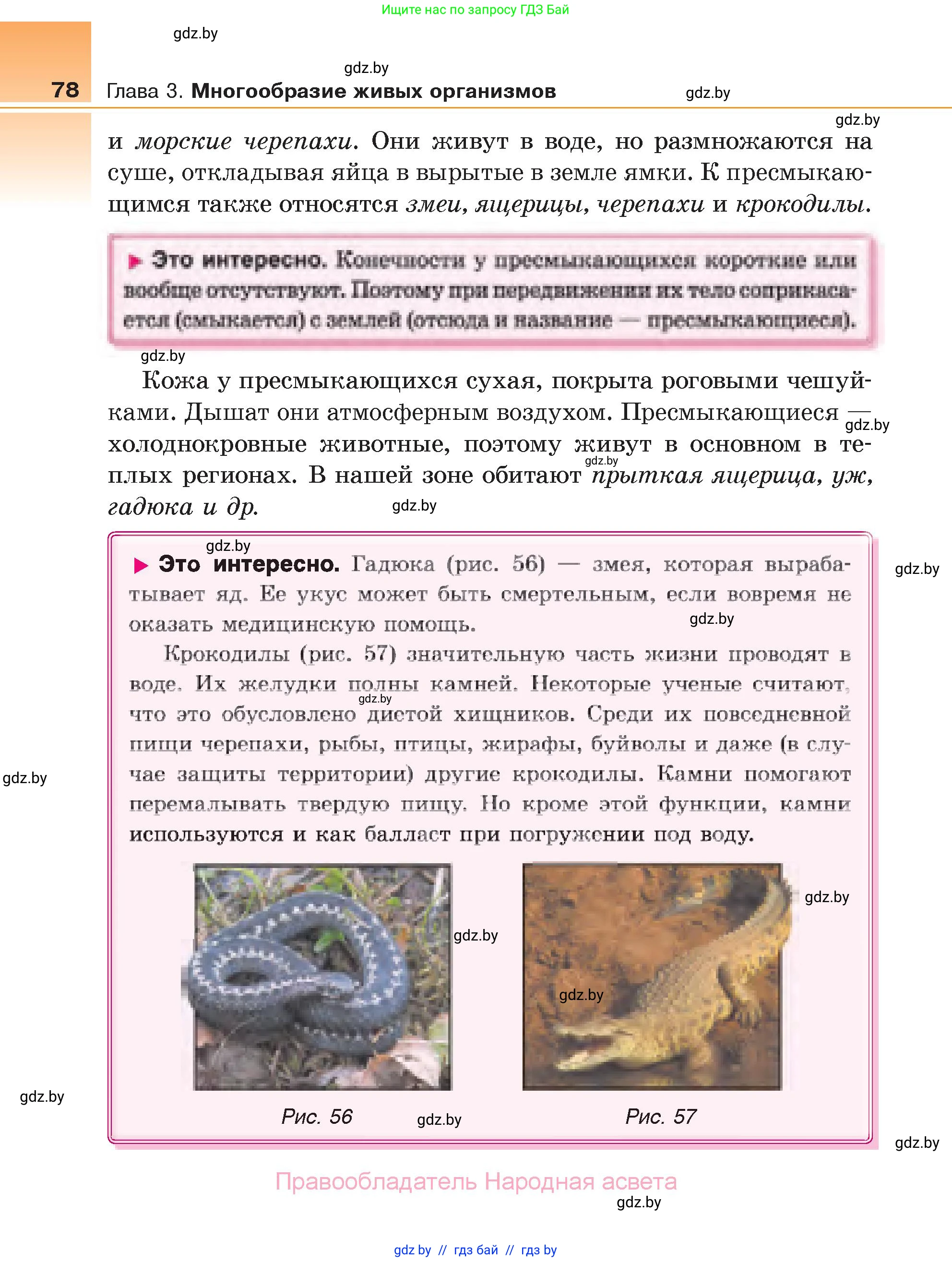 Биология, 6 класс Учебник, автор: Лисов Николай Дмитриевич, издательство Народная асвета, Минск, 2021, зелёного цвета, страница 78